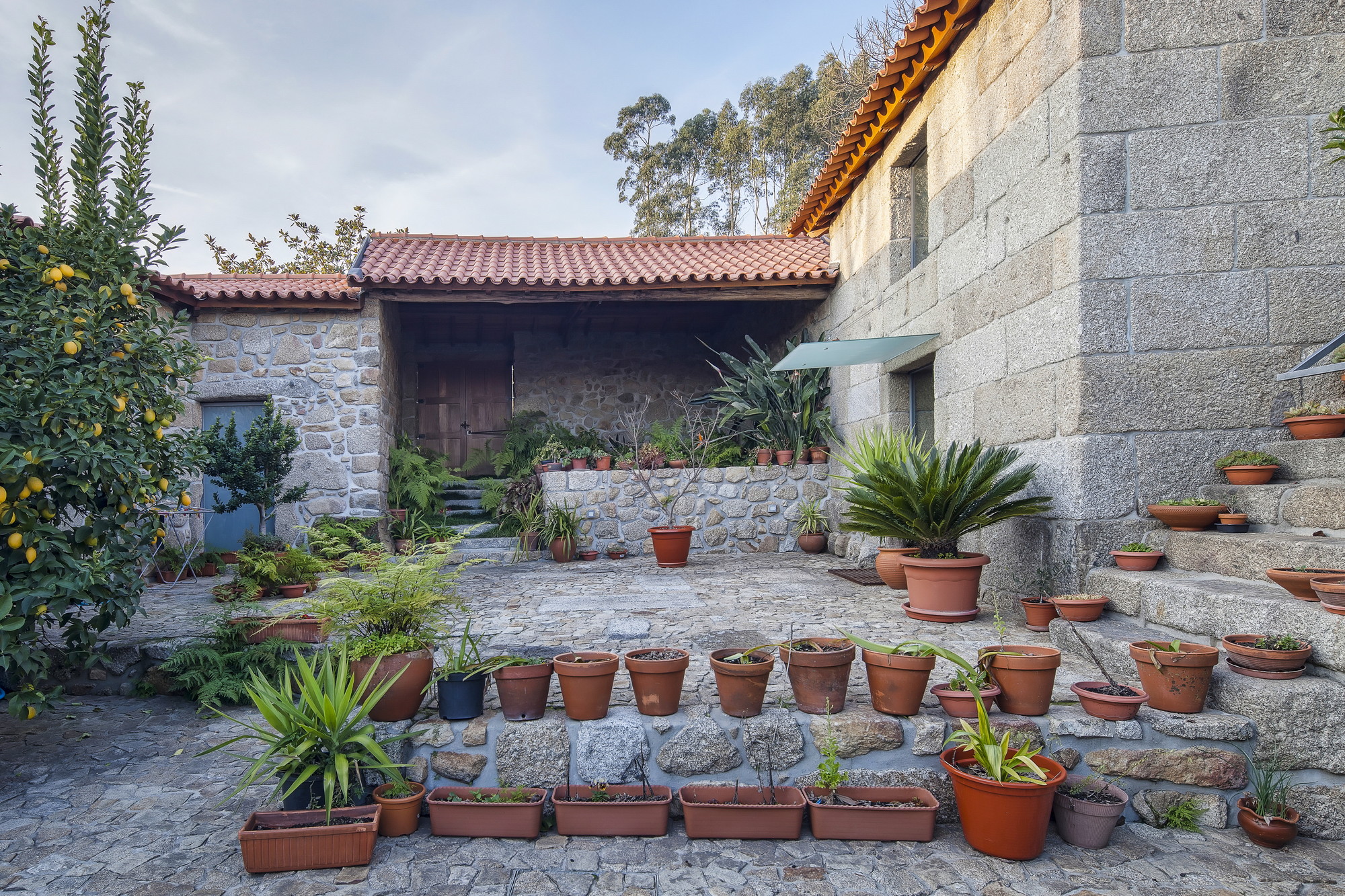Courtyard of potted plants on stone terraces, with a lemon tree at left and a covered porch under a cloudy sky