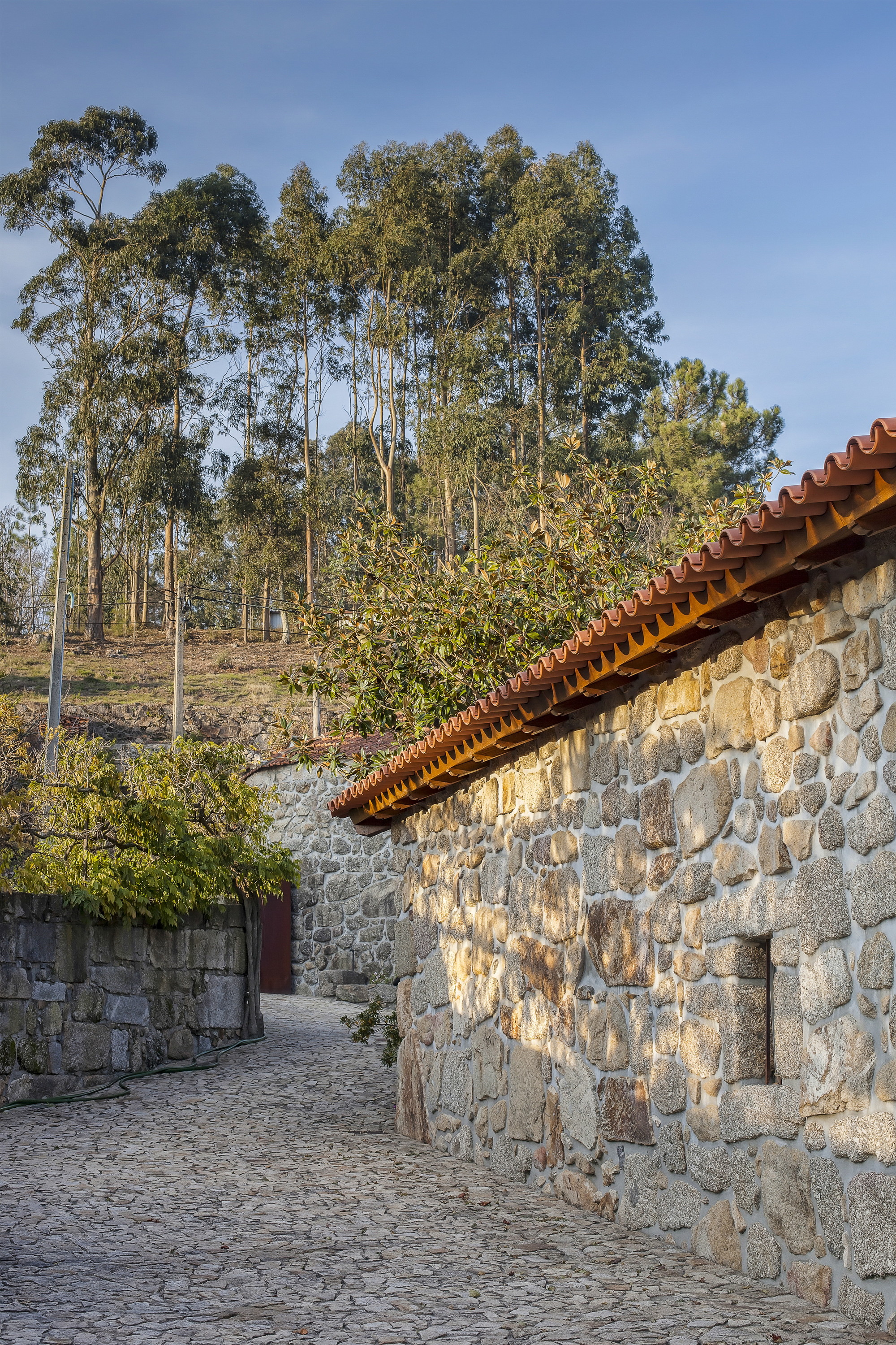 Granite rubble wall with a small window and terracotta tile eave above a cobbled lane, eucalyptus trees behind in low sun