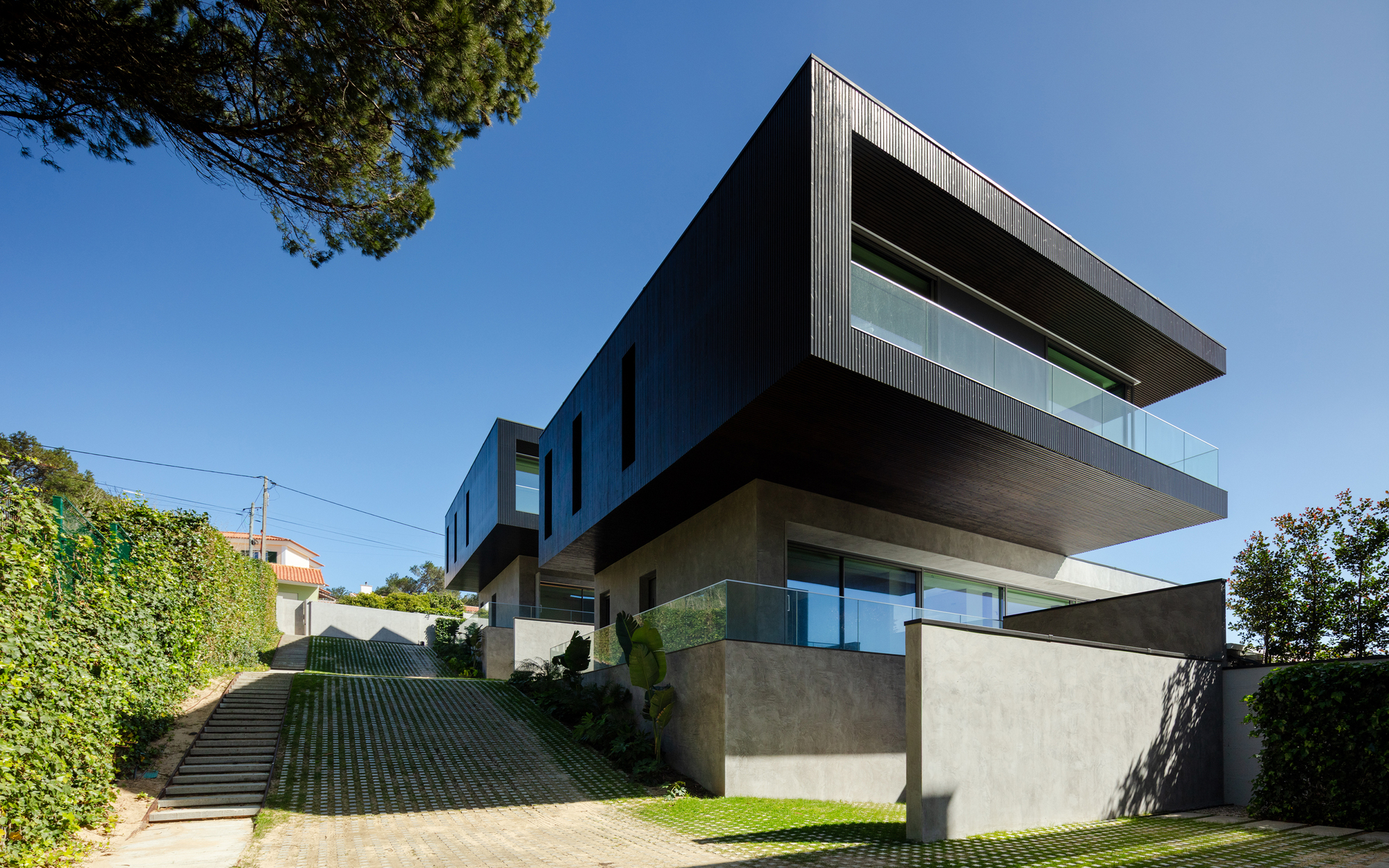 Street approach with a cantilevered black timber volume above concrete walls, a grass-paved ramp and a stair beside a clipped hedge