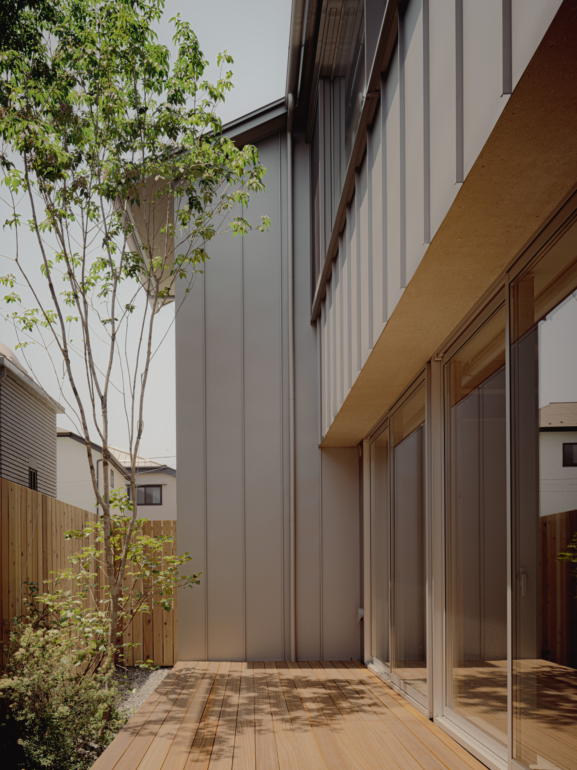 Timber deck beside a metal-clad facade with sliding glass doors and a slender tree casting dappled shade