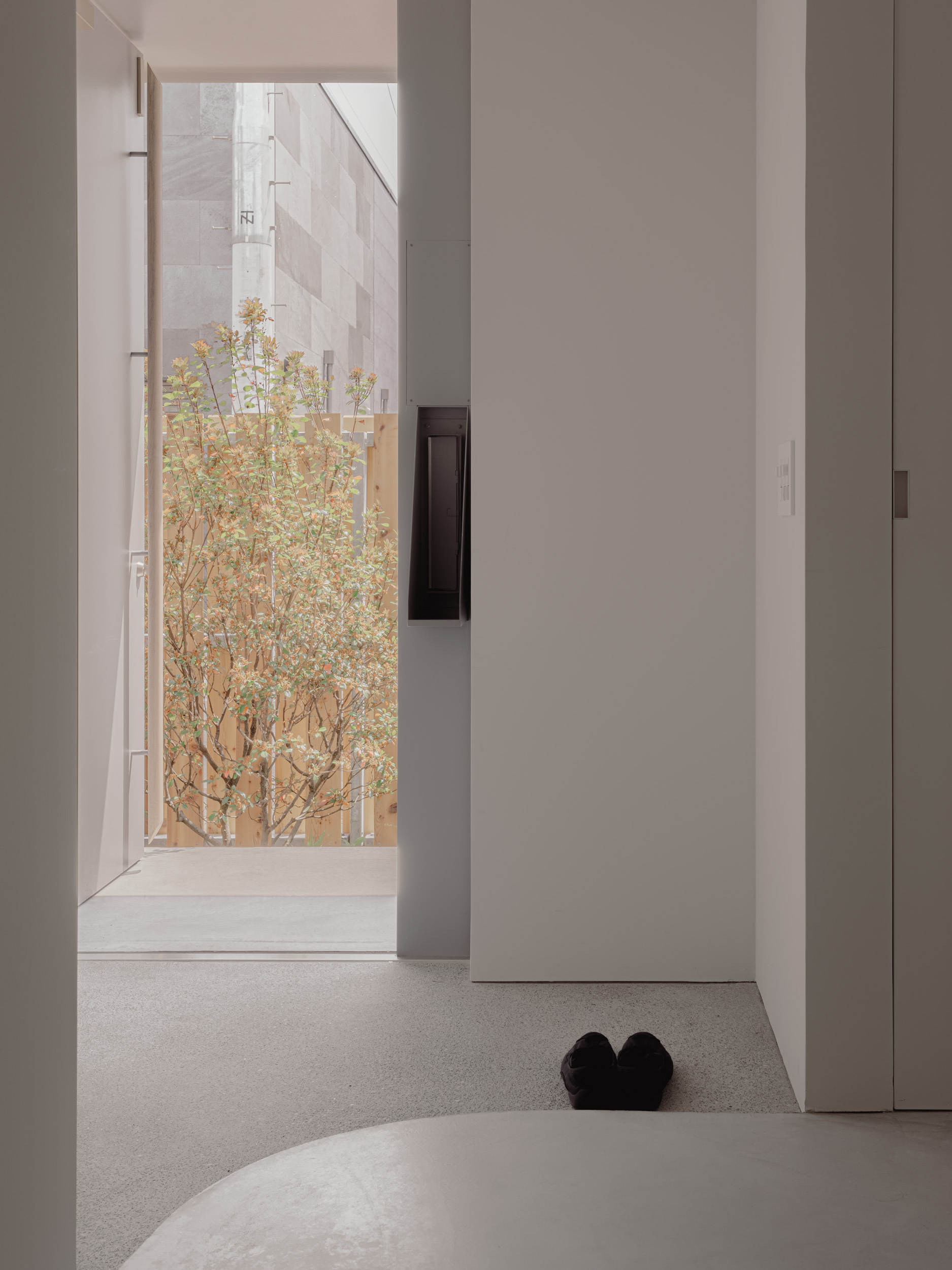 Entry view past a white wall to a flowering tree in a timber-fenced yard, with a pair of black slippers on the floor