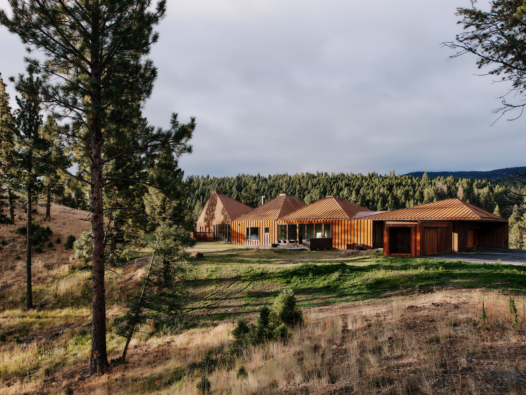 Row of pitched copper-toned roofs and vertical metal cladding across a grassy clearing, with pine forest behind under a heavy grey sky