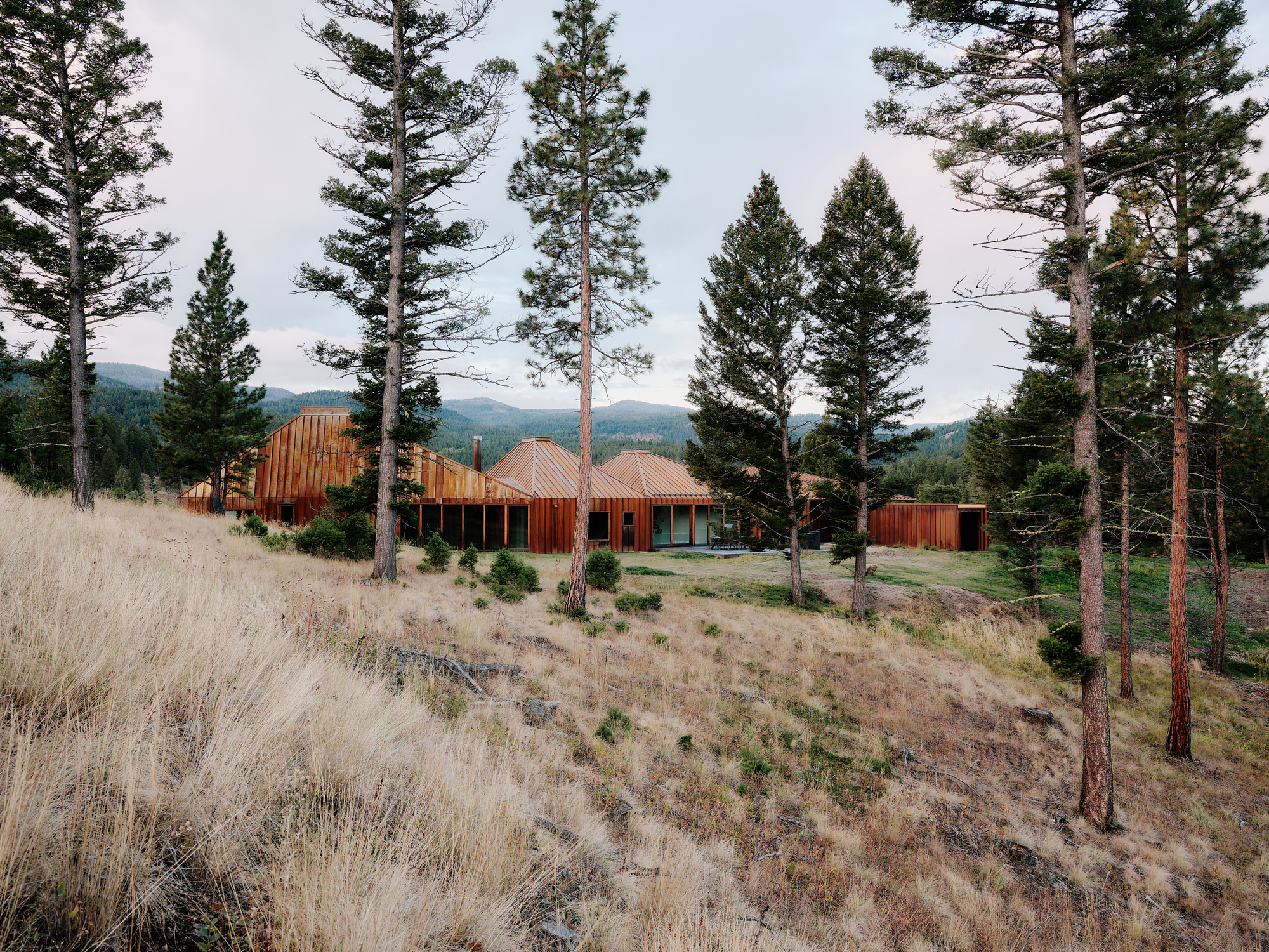 Low cluster of rust-colored gabled volumes seen through tall ponderosa pines, across dry grass on a slope at dusk