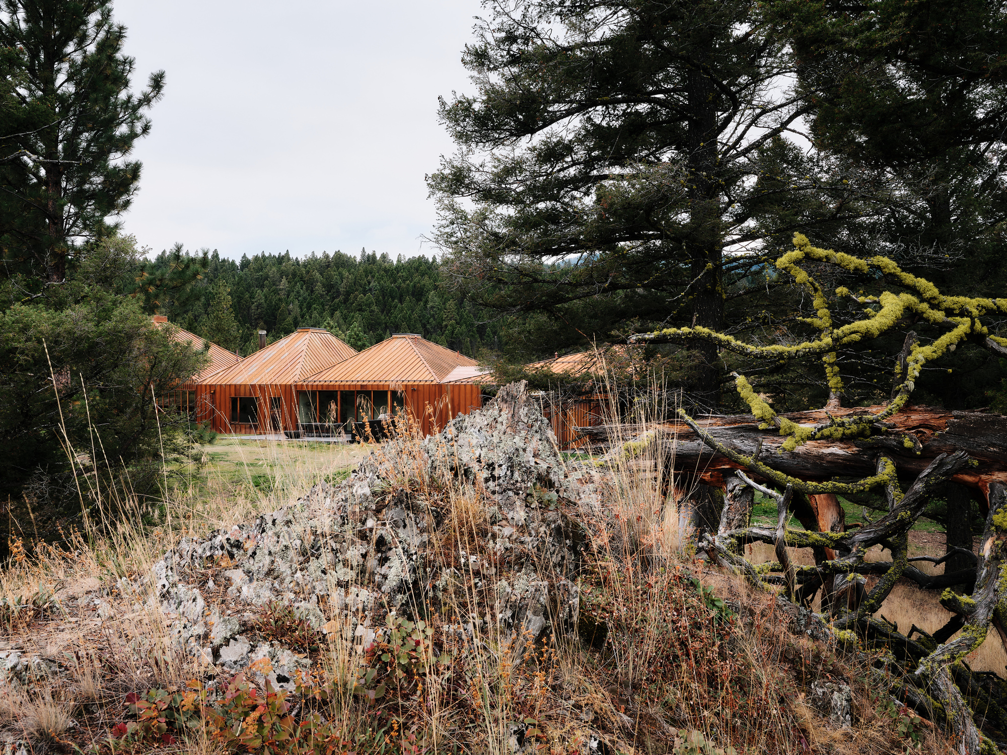 Distant pitched metal roofs behind a lichen-covered boulder and a fallen log draped in yellow-green moss, under an overcast sky