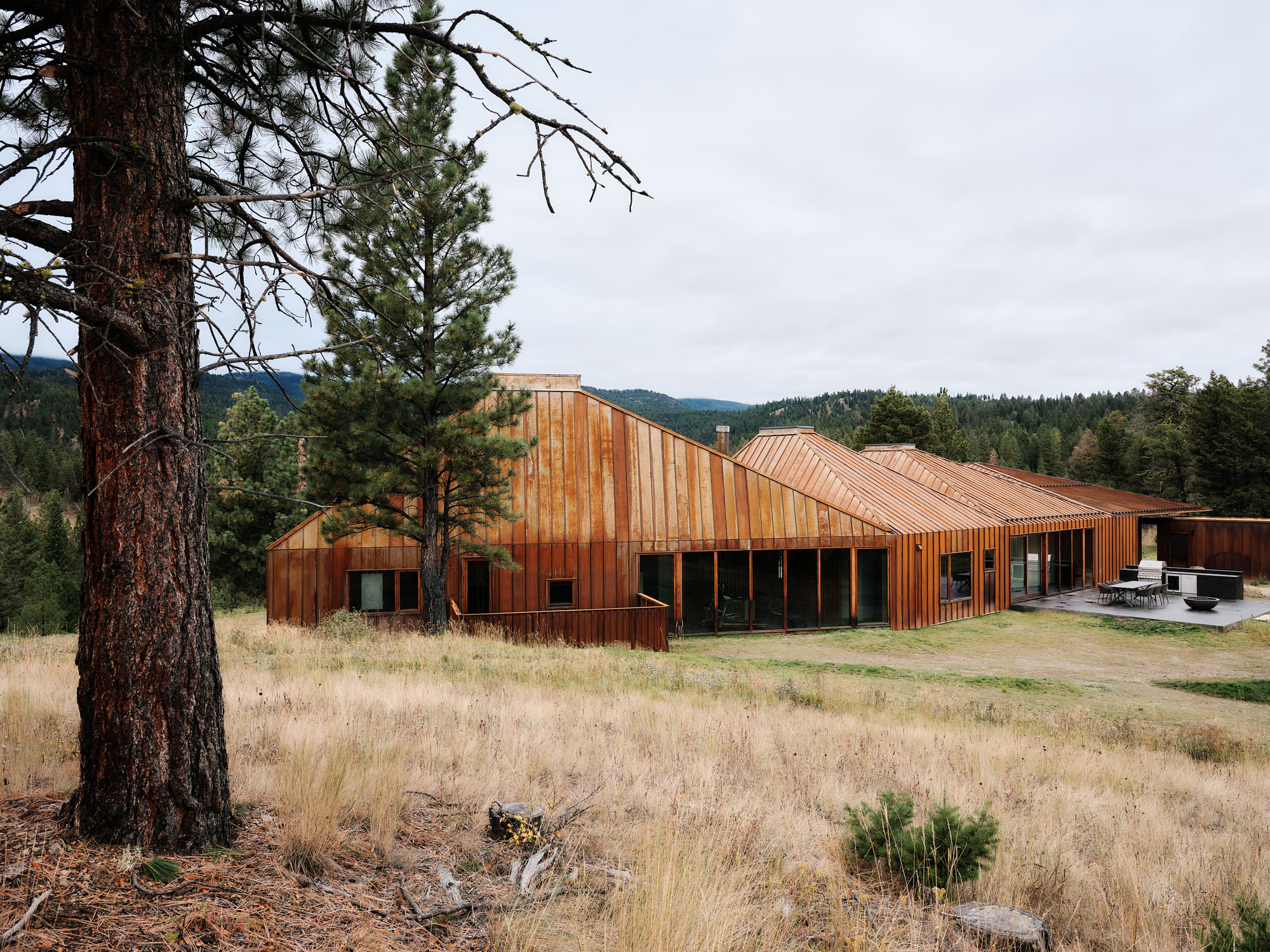 Long low house of vertical rust-toned cladding and sloped roofs, with a terrace and outdoor table, beside a large pine trunk in autumn grass