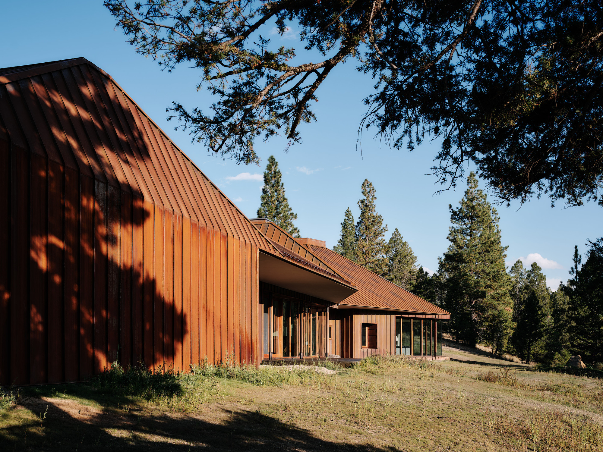 Rust-colored standing seam metal wall and pitched roof with an overhanging eave, dappled by pine branch shadows in late sun
