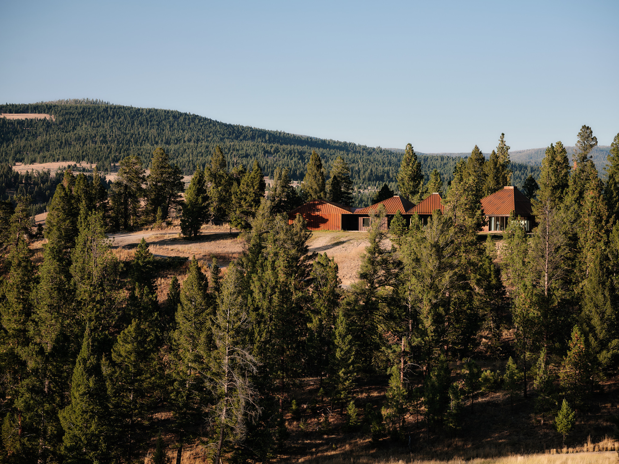 Distant view of the low copper-toned roofs on a hilltop, ringed by pine forest under a clear sky