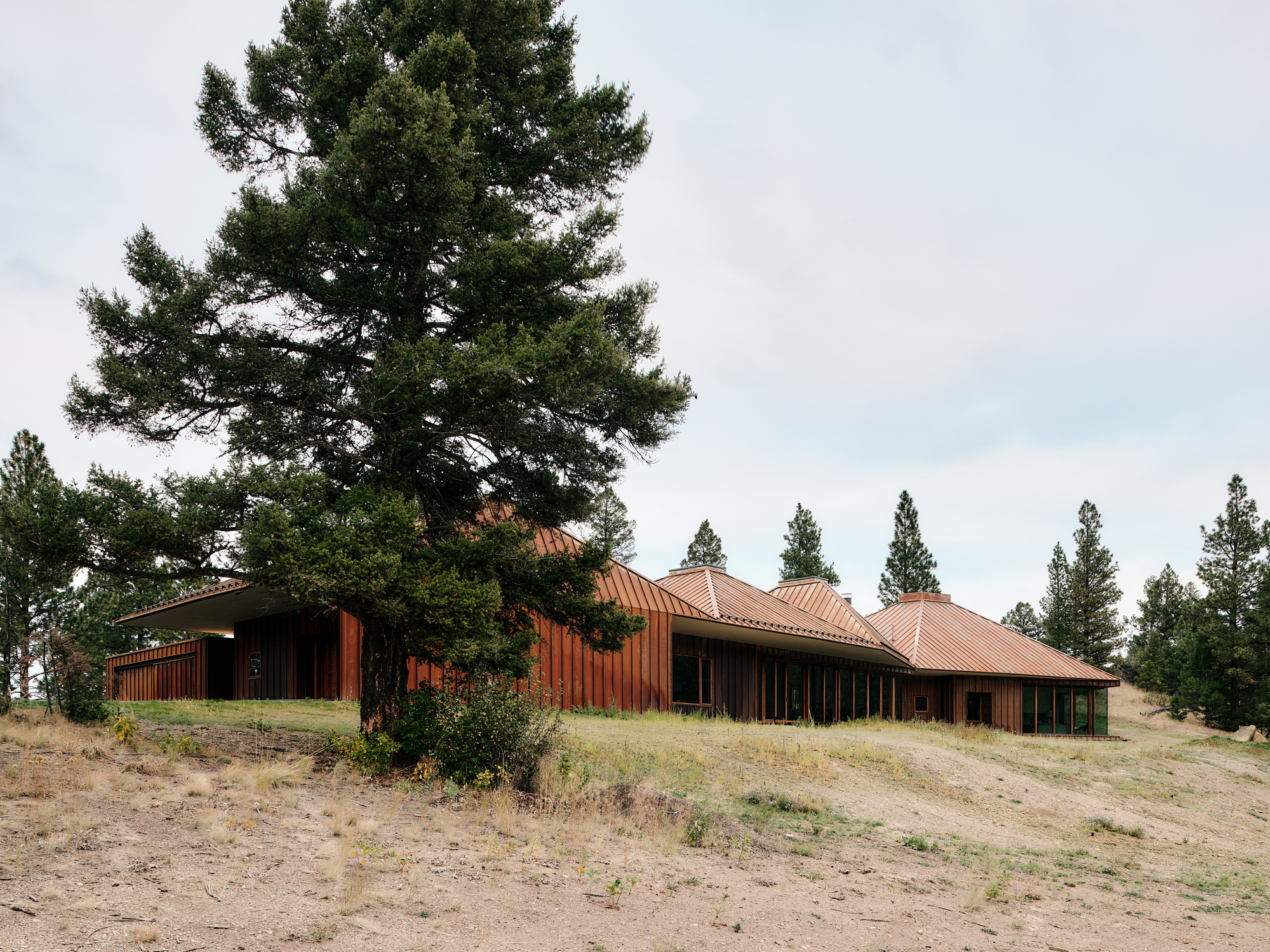 Side elevation of the low rust-colored house with stepped hip roofs behind a large pine on a bare hillside