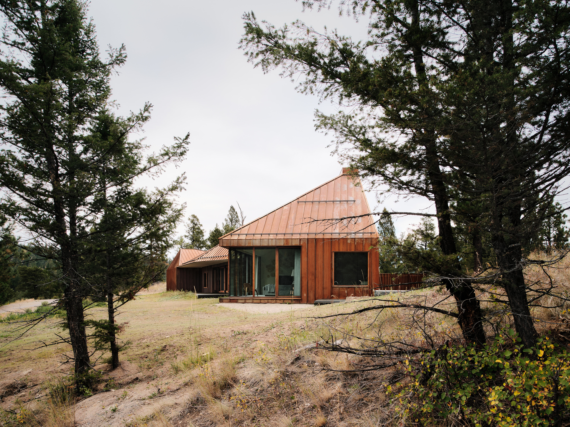 Copper-clad house with a pyramidal roof and glazed corner, seen between pine trunks under an overcast sky
