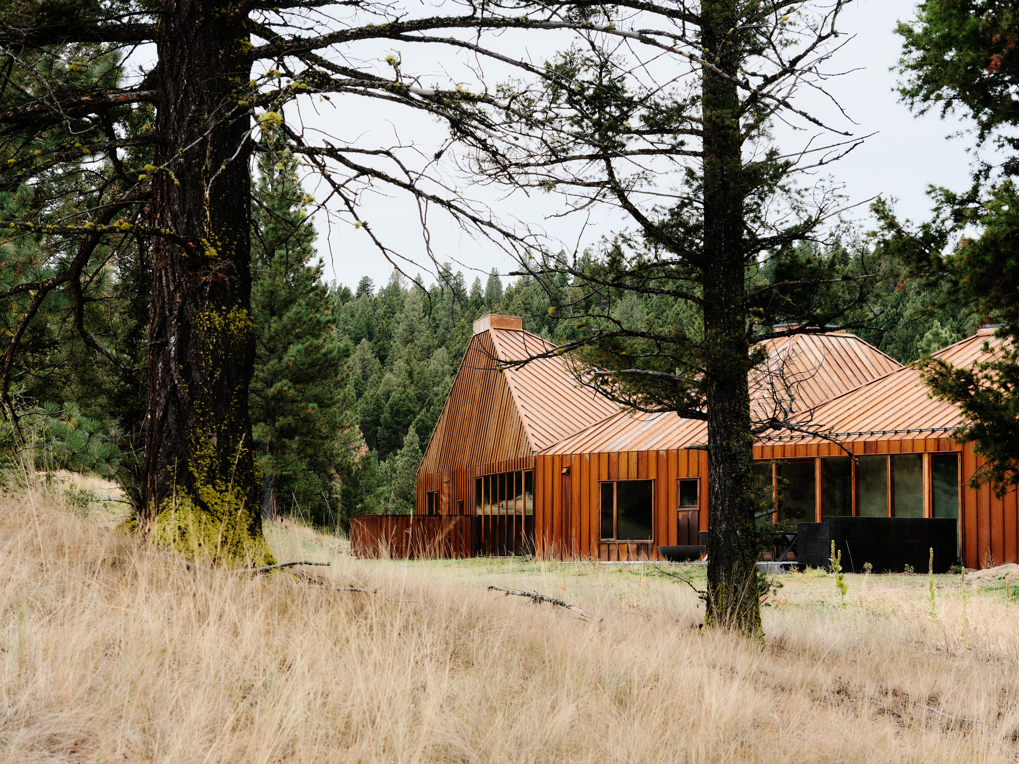 Rust-colored vertical cladding and folded metal roofs behind a mossy pine trunk and dry golden grass