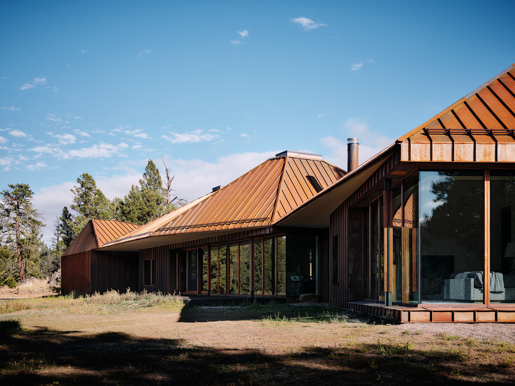 Copper roof planes and a deep eave over floor-to-ceiling glazing, with long tree shadows across the ground in clear afternoon light