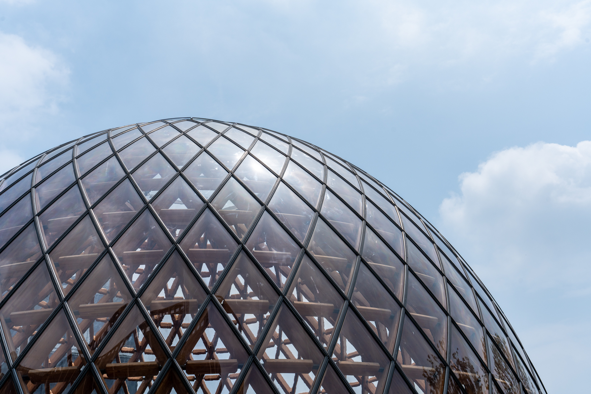 Close-up of the dome's diagonal steel and glass grid revealing timber ribs inside, against blue sky and clouds