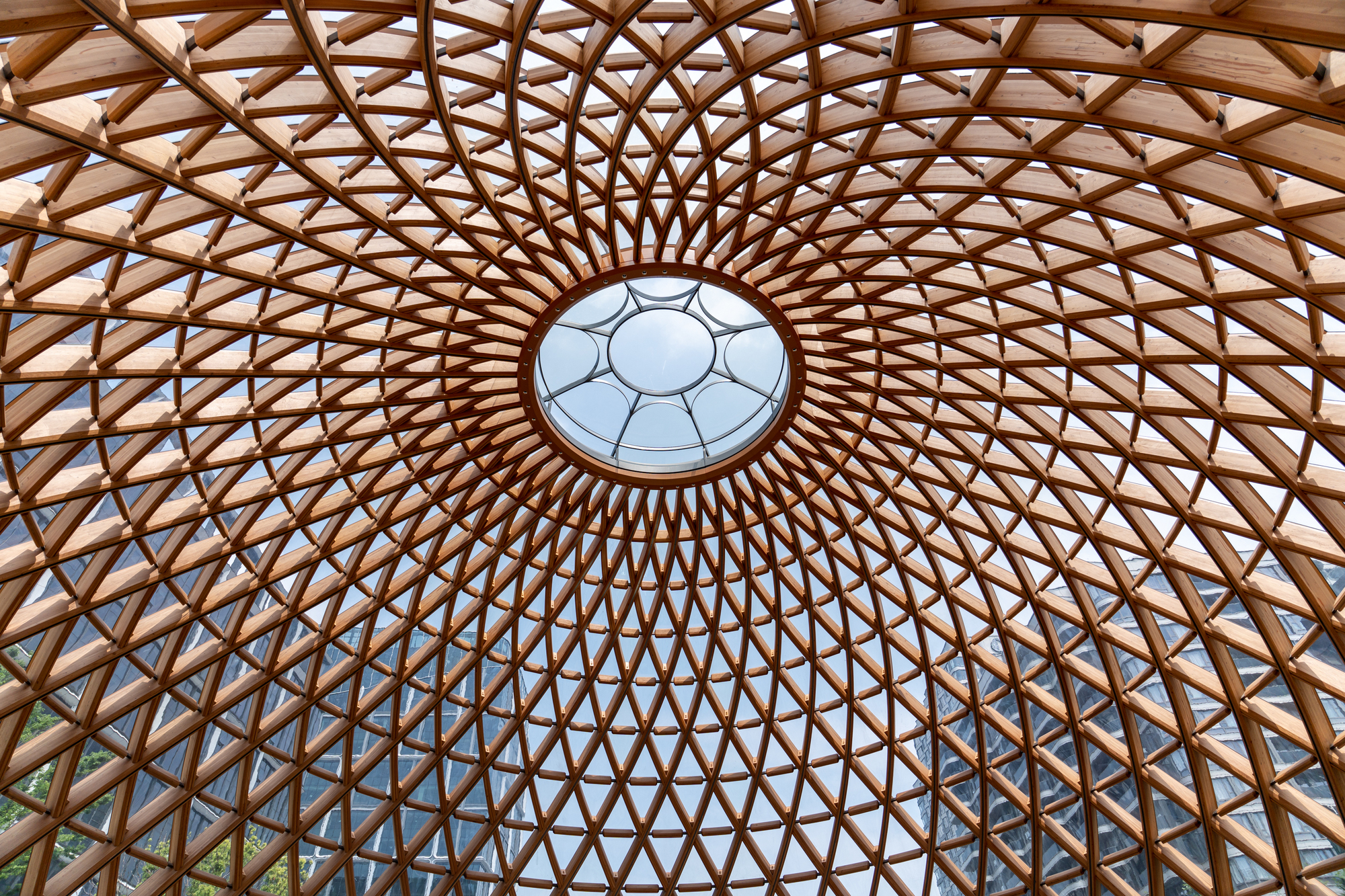 Looking up at the dome's interior, where intersecting timber ribs radiate around a circular central skylight