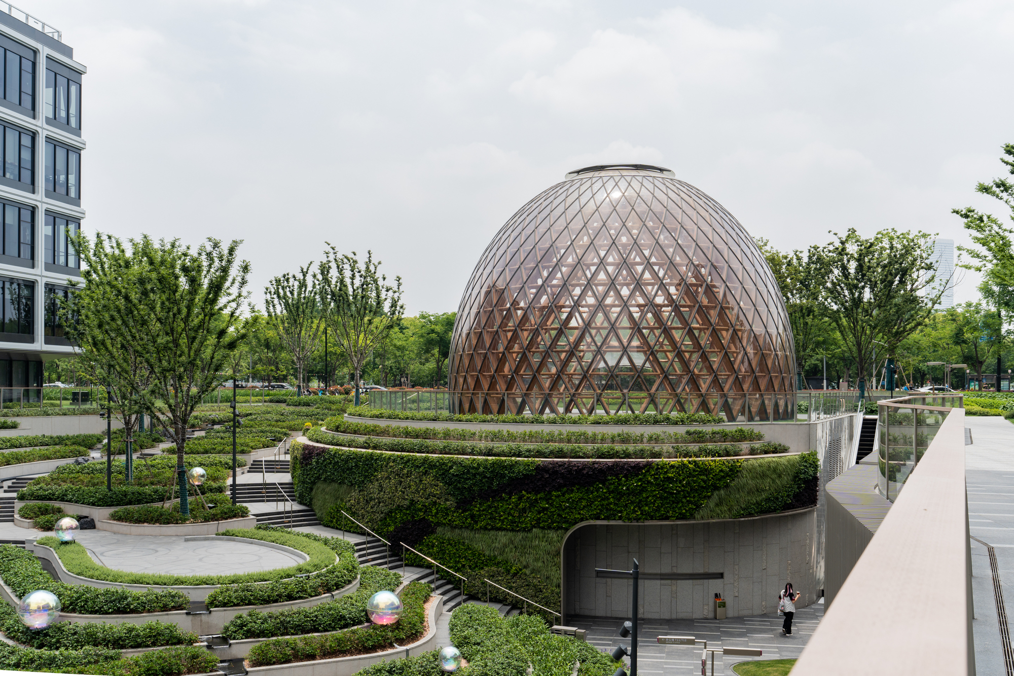 Timber and glass lattice dome rising above stepped hedge terraces, with a visitor walking below under an overcast sky