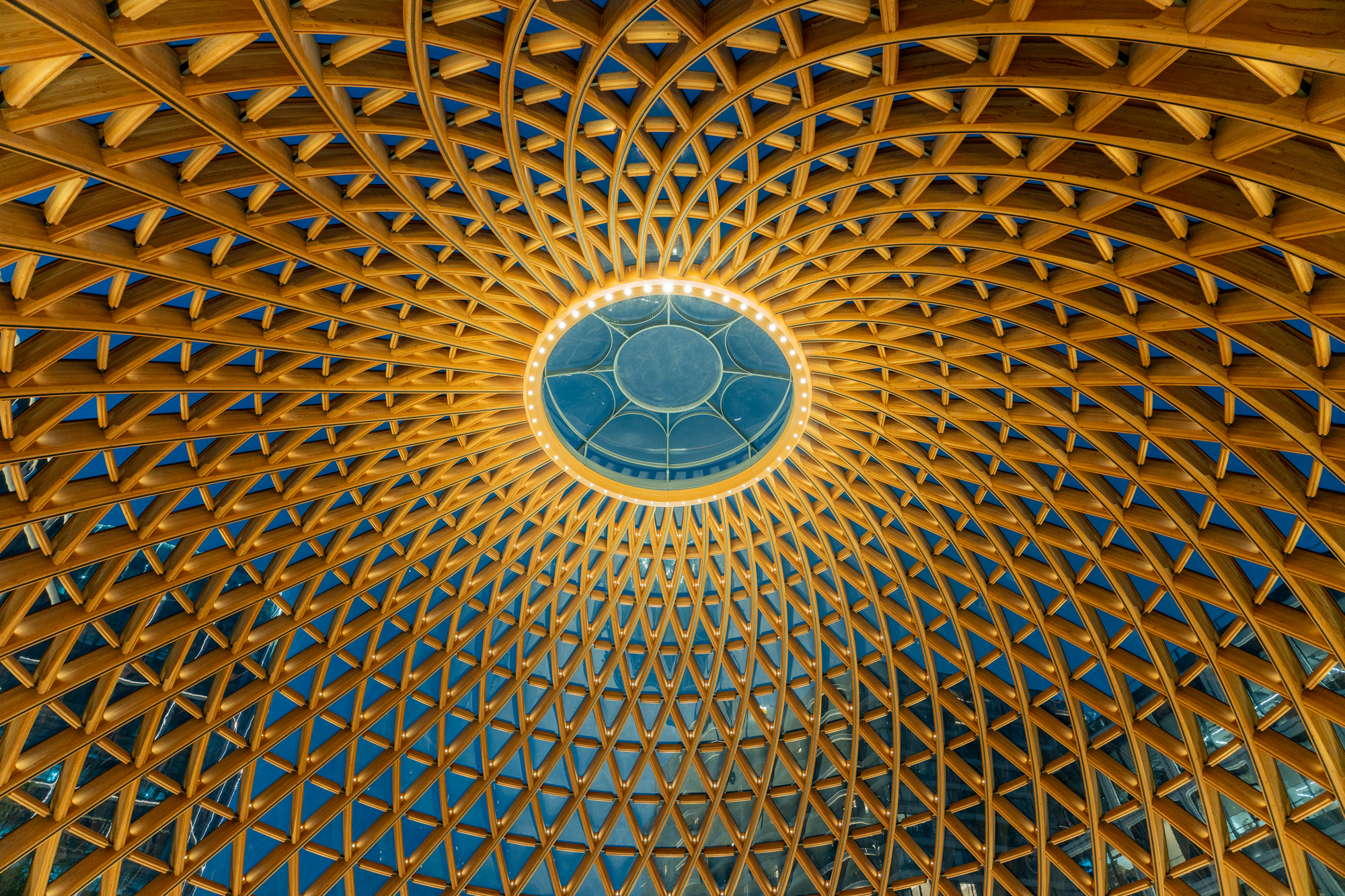 Looking up at the timber gridshell dome with a circular glazed oculus, lit warmly against a deep blue dusk sky