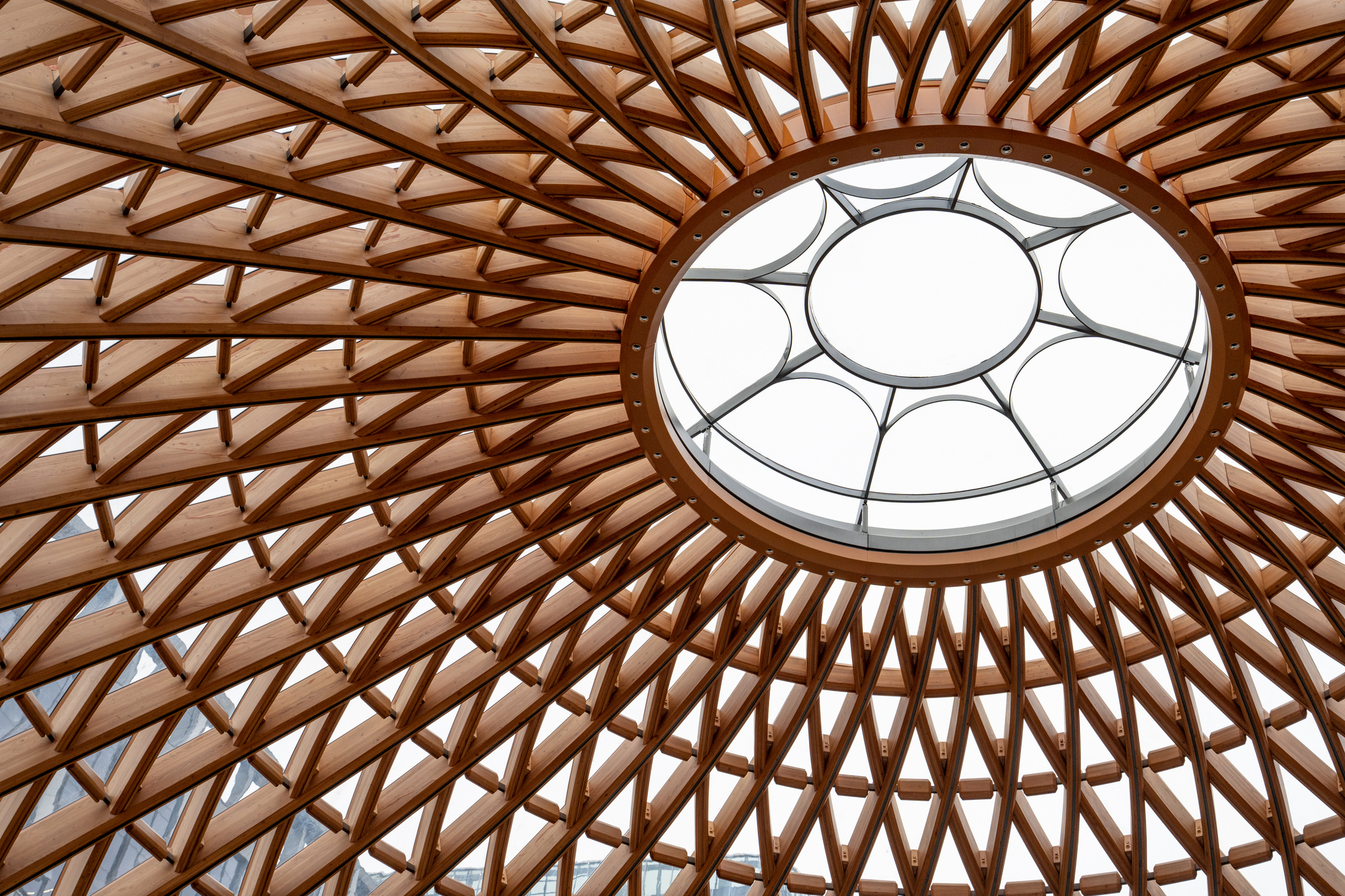 Wide-angle view of the timber lattice ribs around the circular skylight, with daylight and distant buildings visible through the glazing