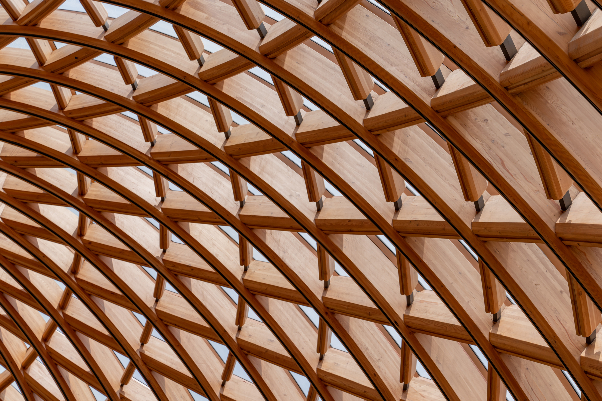 Close-up of curved laminated timber ribs with short cross-blocks and steel connectors, glazing visible between them in soft daylight