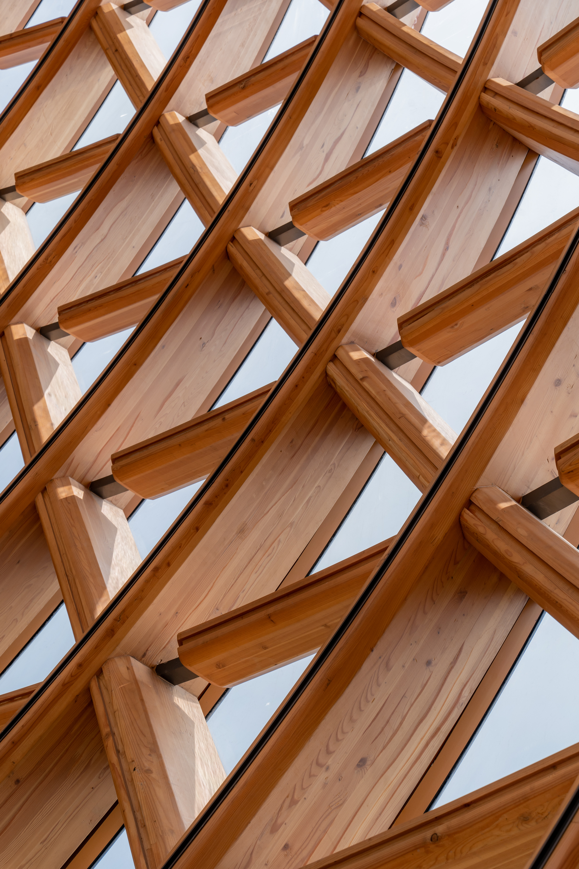 Close-up of curved timber ribs and angled cross beams with glazing between them, seen against pale sky