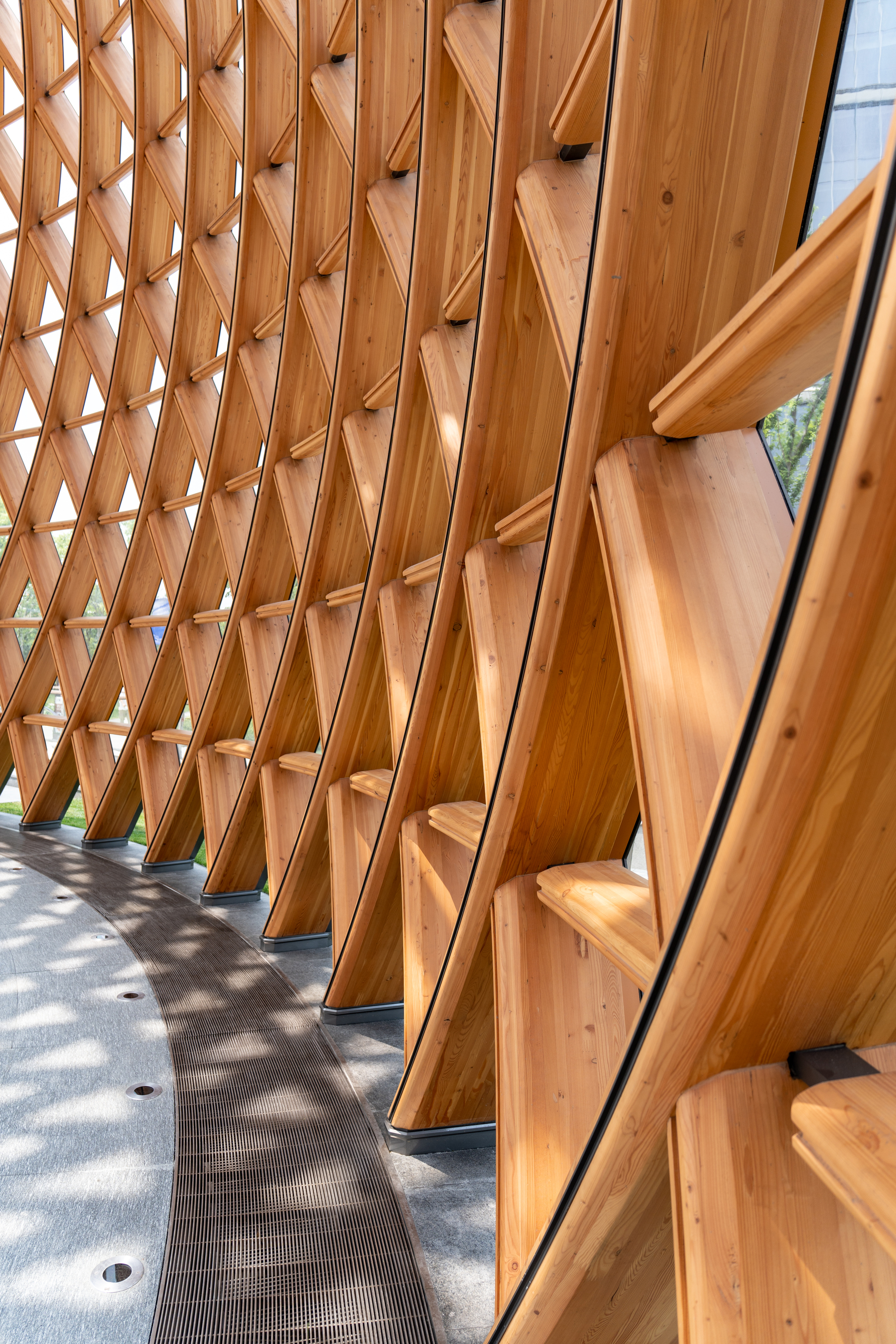 Curved timber lattice wall meeting a grated drain and paved path, with dappled sunlight across the ground