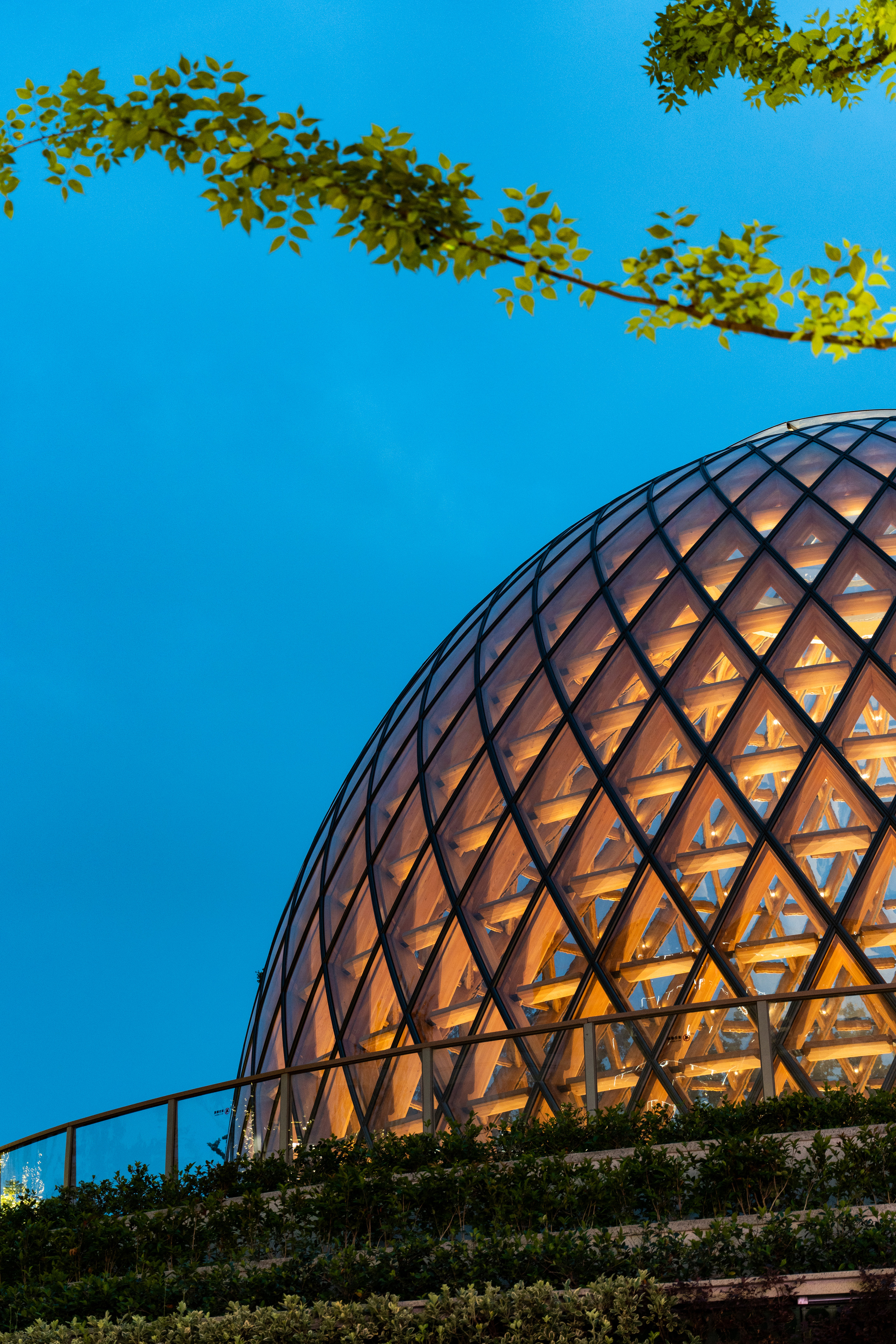 Diamond-patterned dome lit warm from within at twilight, with a leafy branch crossing the deep blue sky