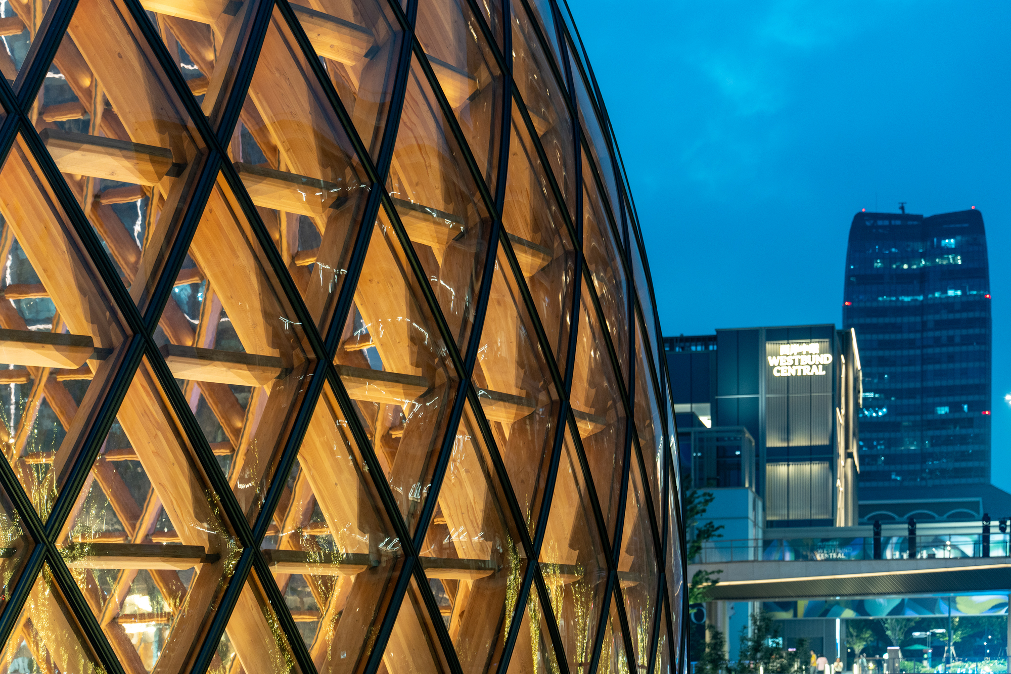 Close view of the dome's diagonal steel and timber grid at dusk, with lit towers rising behind