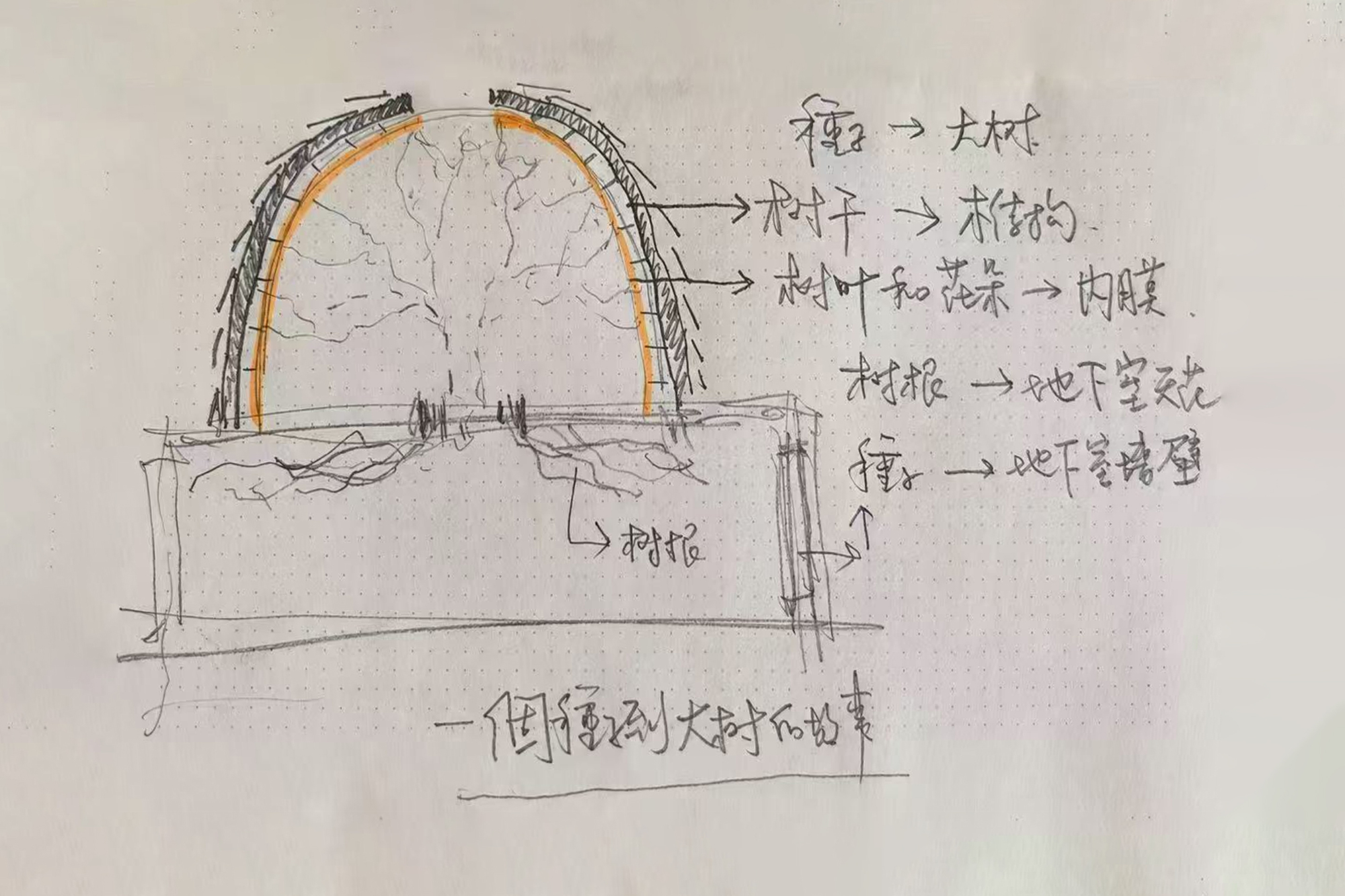 Pencil section sketch of a dome sheltering a large tree, with orange inner lining and handwritten notes linking roots to basement walls
