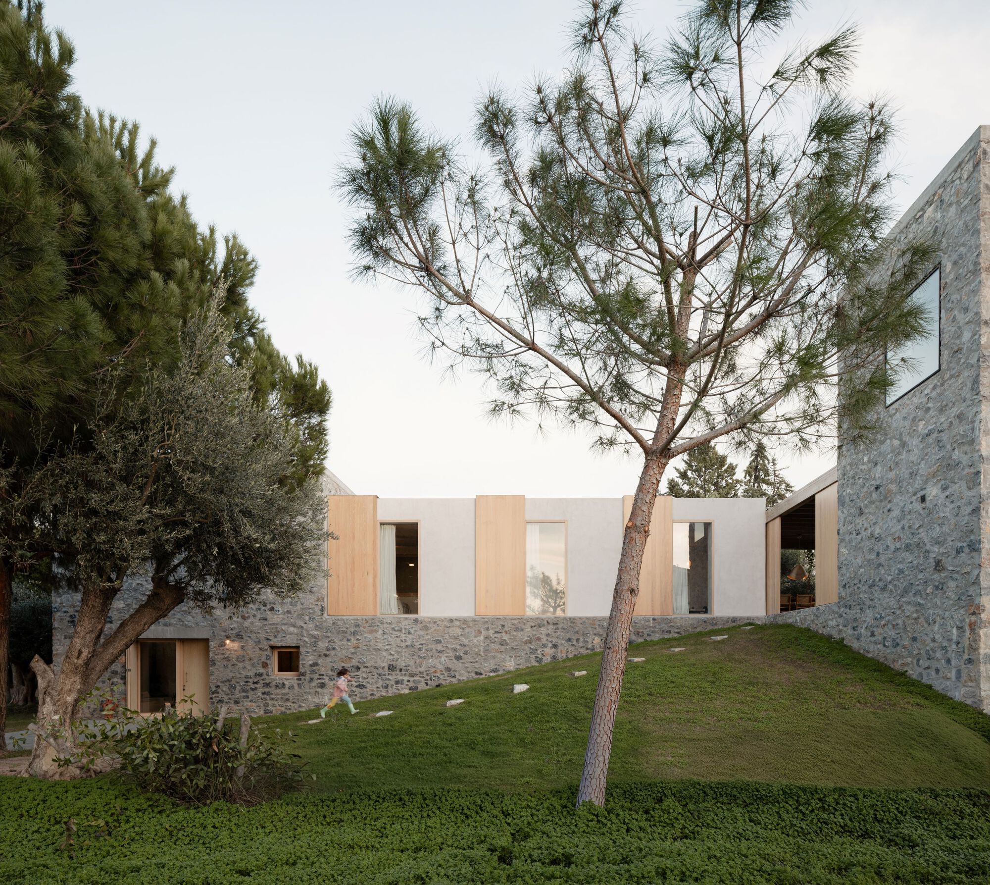Low stone and plaster wing with timber shutters behind a leaning pine, a child running along stepping stones on the lawn