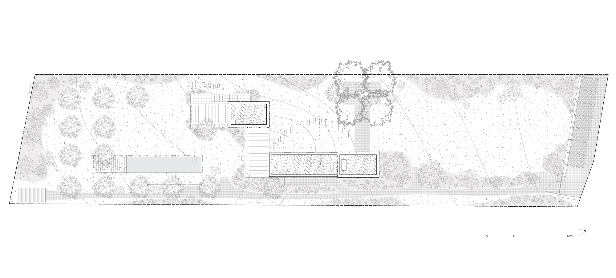 Site plan drawing showing two rectangular roof volumes, a long pool, curving paths and scattered trees inside an angled plot boundary