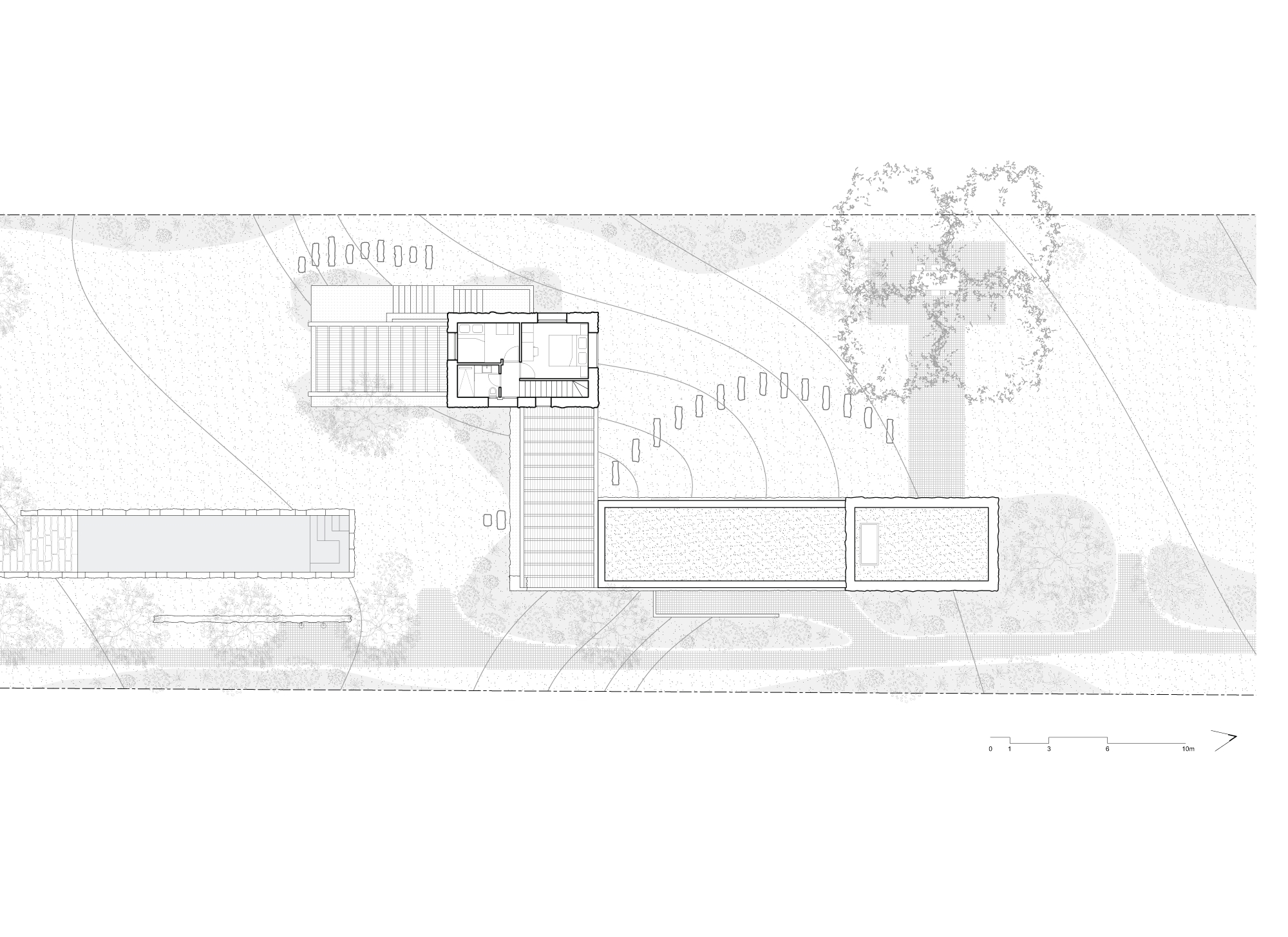 Roof plan drawing showing a planted flat roof on the long wing, a slatted pergola, a small tower and a lap pool