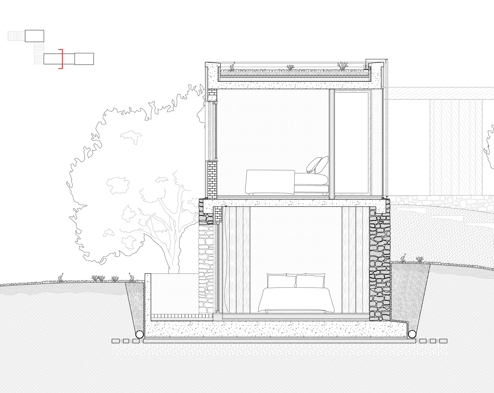 Section drawing of a two-storey stone and concrete volume with bedrooms on both levels, a green roof and a tree beside the wall