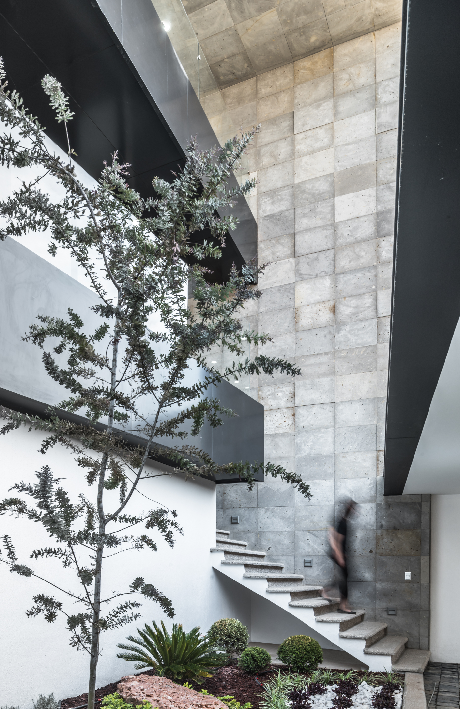 Stone-clad stairwell with a slim leafy tree in a planted bed and a blurred figure descending the steps