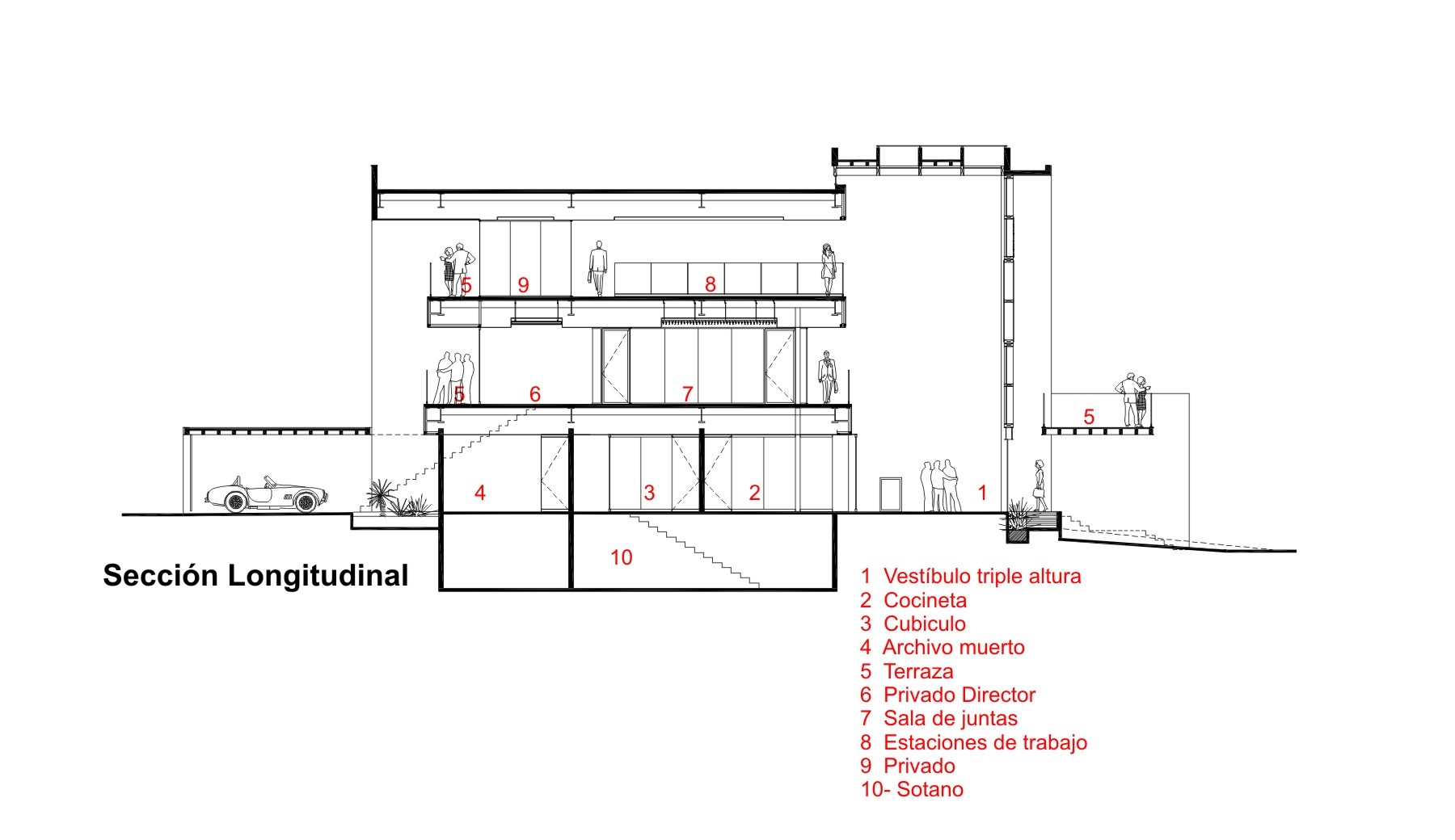Longitudinal section drawing showing stacked office floors, terraces, a basement and a triple-height vestibule, with a vintage car parked at left
