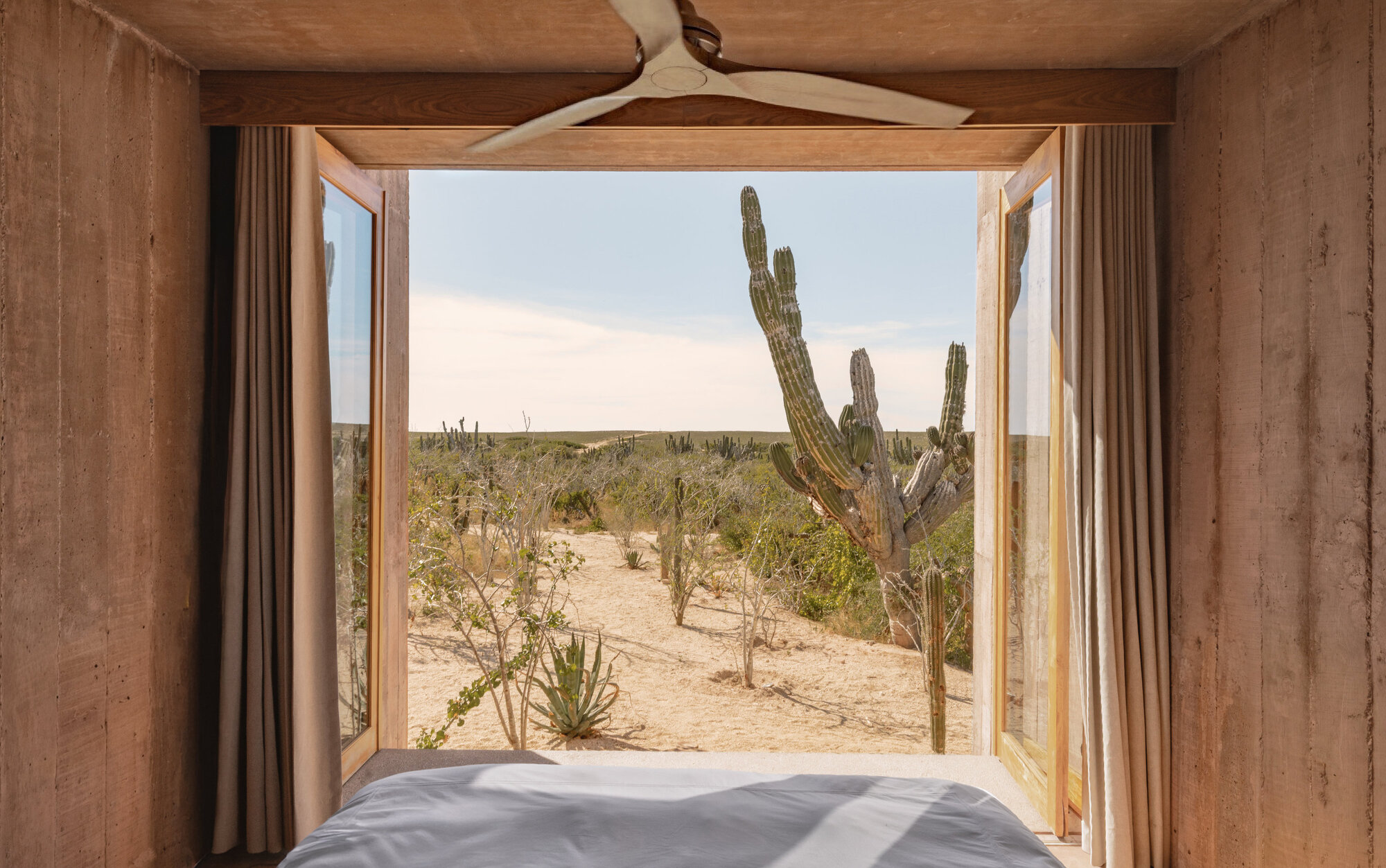Board-formed concrete bedroom opening through timber doors to a tall cardon cactus and sandy scrub under a pale sky