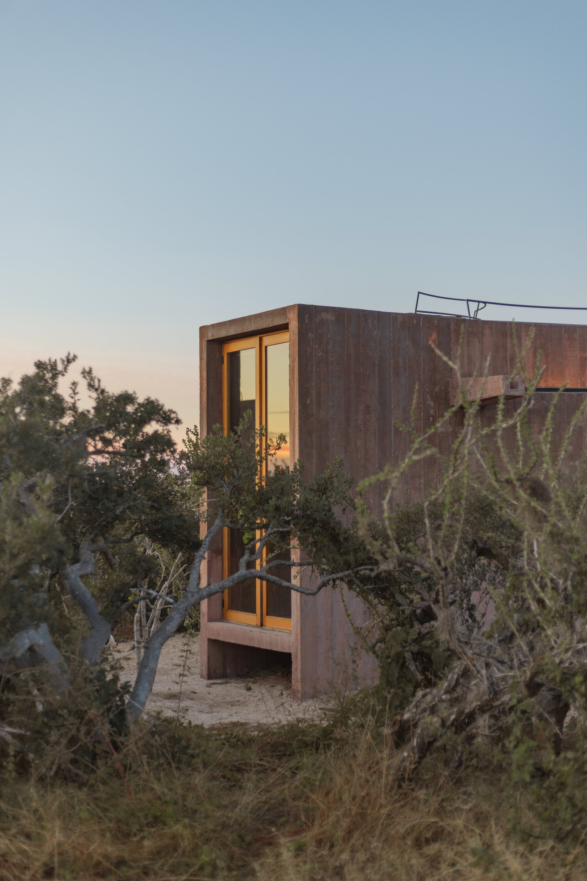 Corner of a board-formed concrete cabin with a timber-framed glazed door, seen through scrub branches at dusk