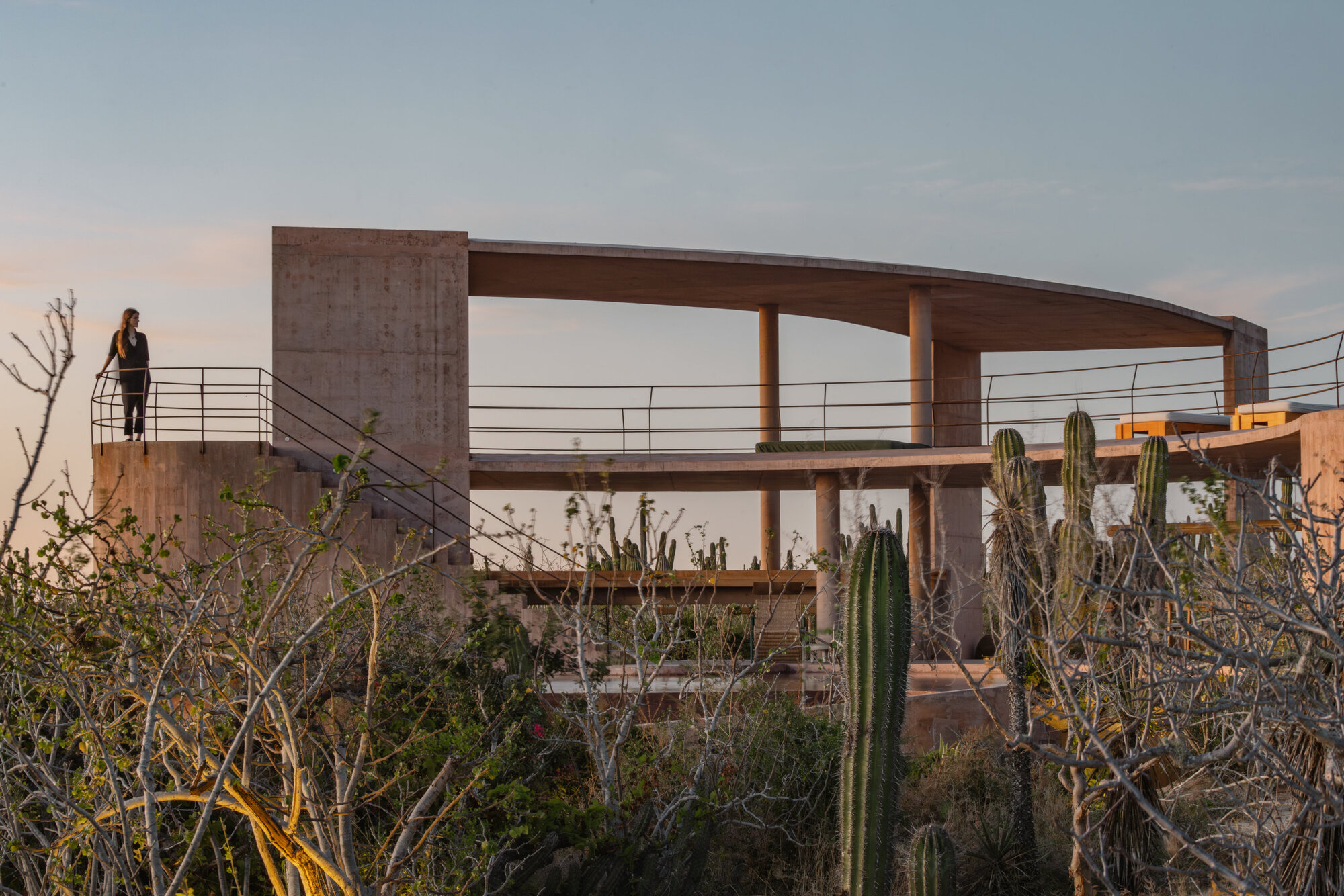 Woman standing at the stair railing of the curved concrete roof pavilion, framed by cacti and bare branches at dusk