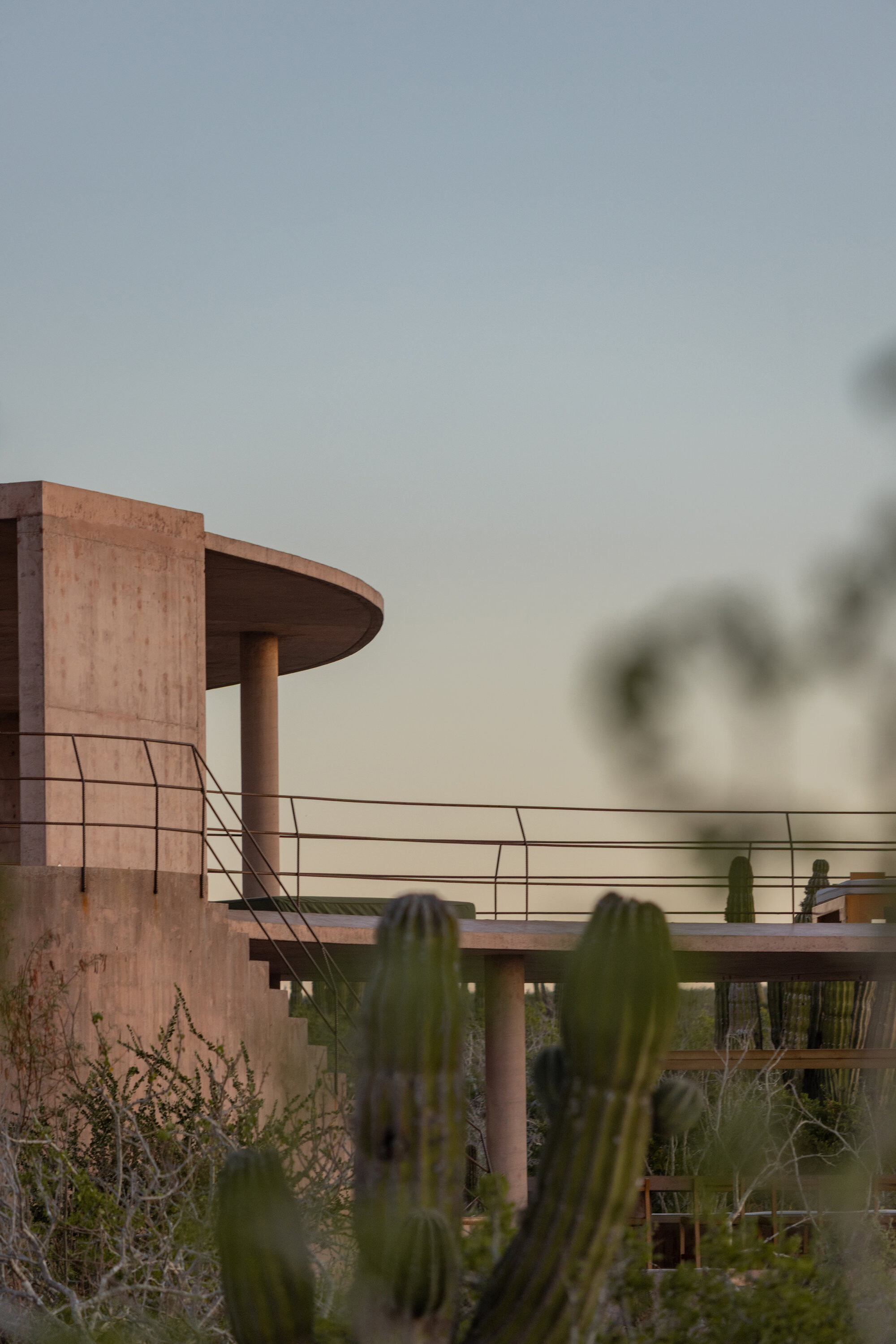 Concrete stair tower and slim round column with a thin railing, seen past blurred cactus arms at dusk