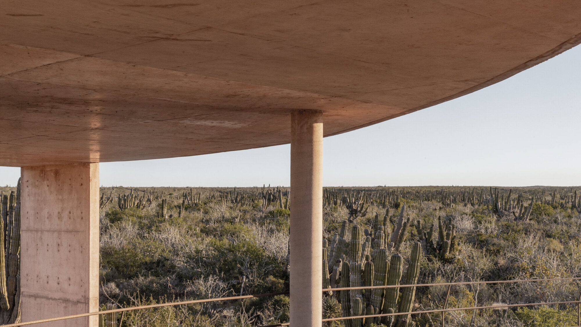 Round columns and the curved underside of the roof frame a cactus-covered desert plain under a pale clear sky