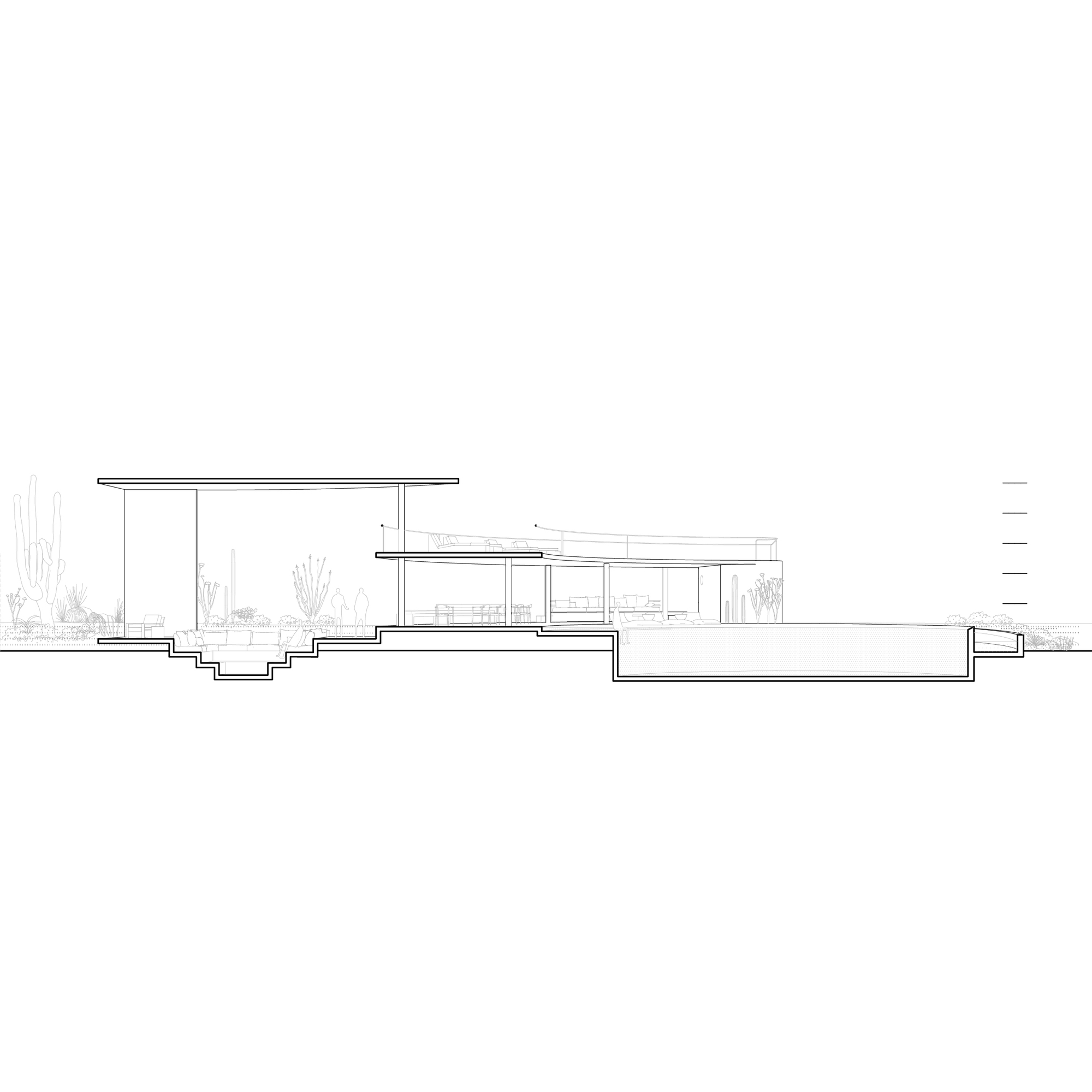 Long section drawing showing a thin flat roof over a stepped sunken court and a rectangular pool, with cacti at left