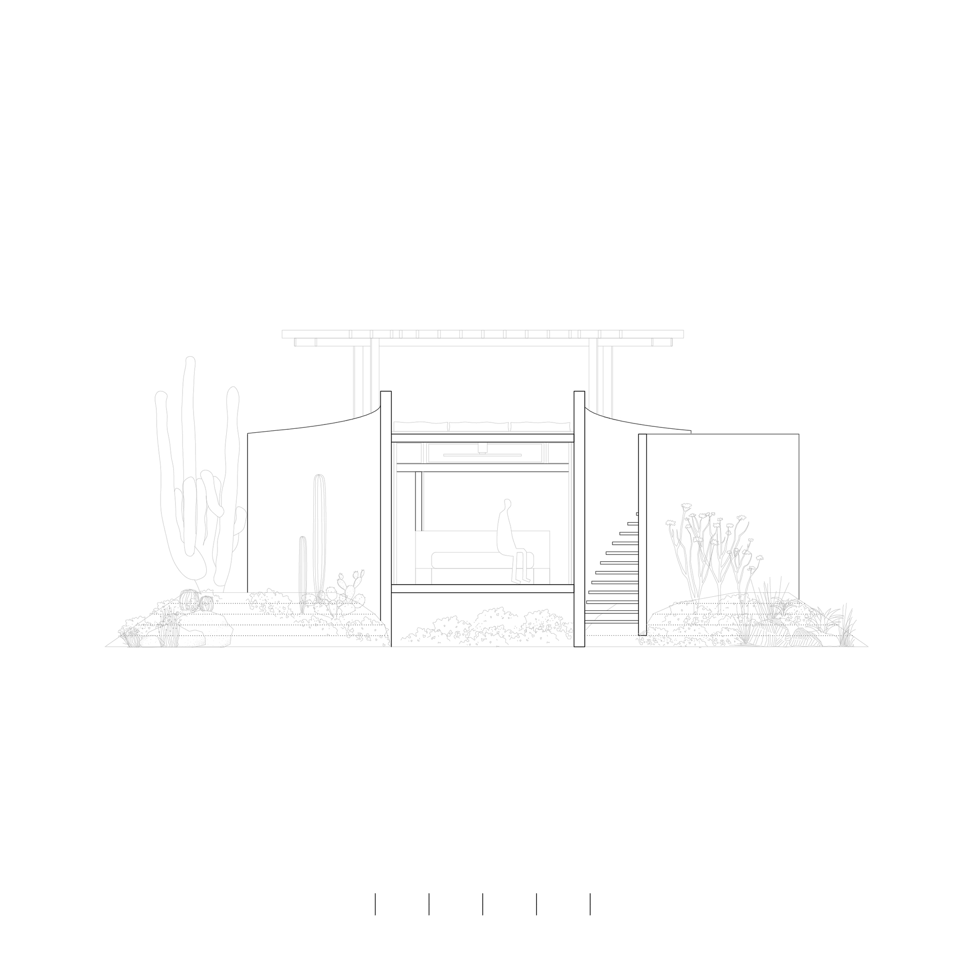 Elevation drawing of two curved walls framing a glazed room and open stair, with a pergola above and cacti on both sides