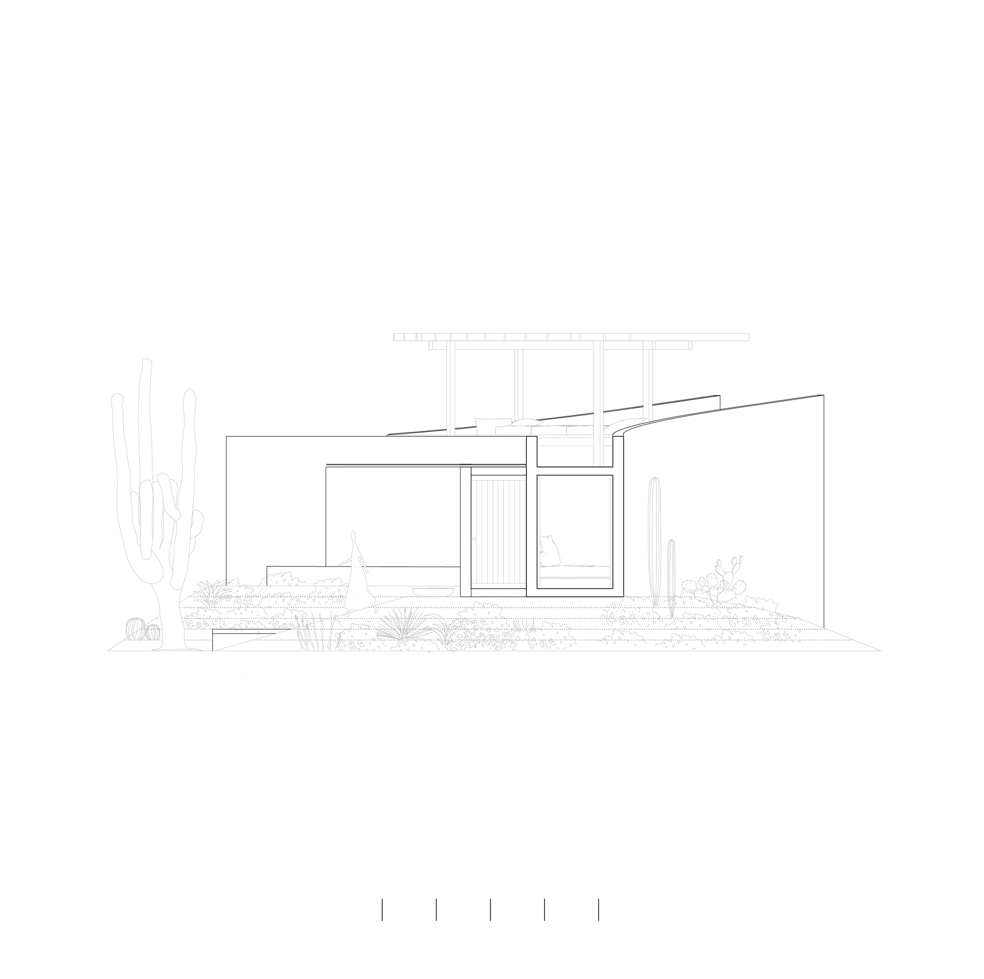 Elevation drawing of a low house with a curved wall, glazed entry and rooftop pergola, set among tall cacti and desert plantings