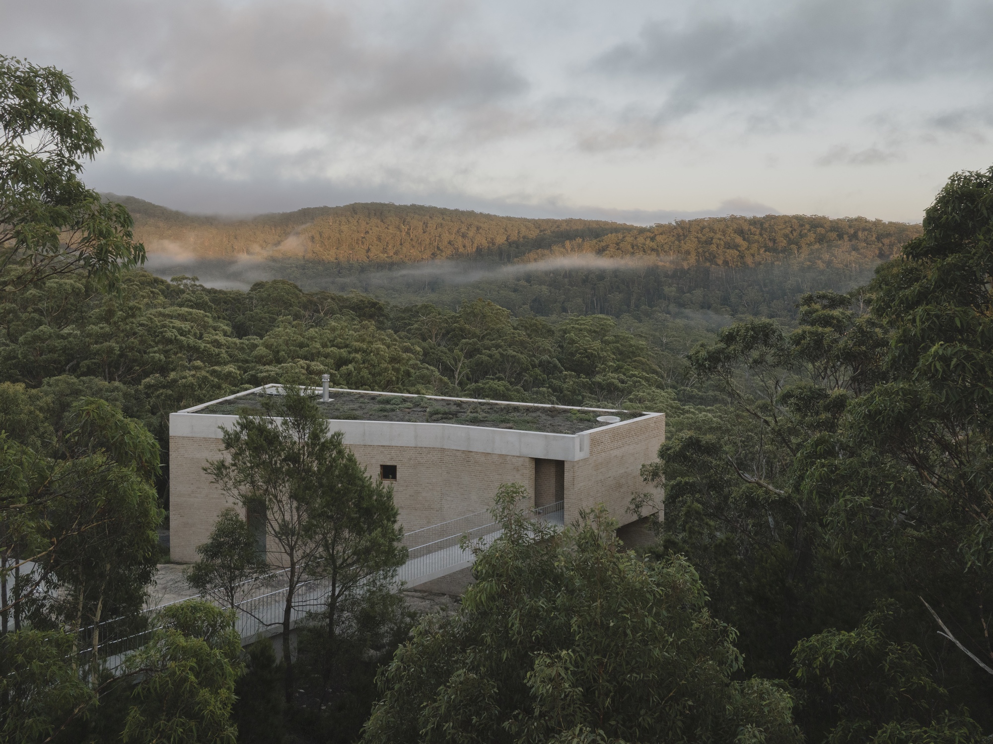 Elevated view of a brick volume with a planted roof and a white railed bridge, set among eucalypts under low morning mist
