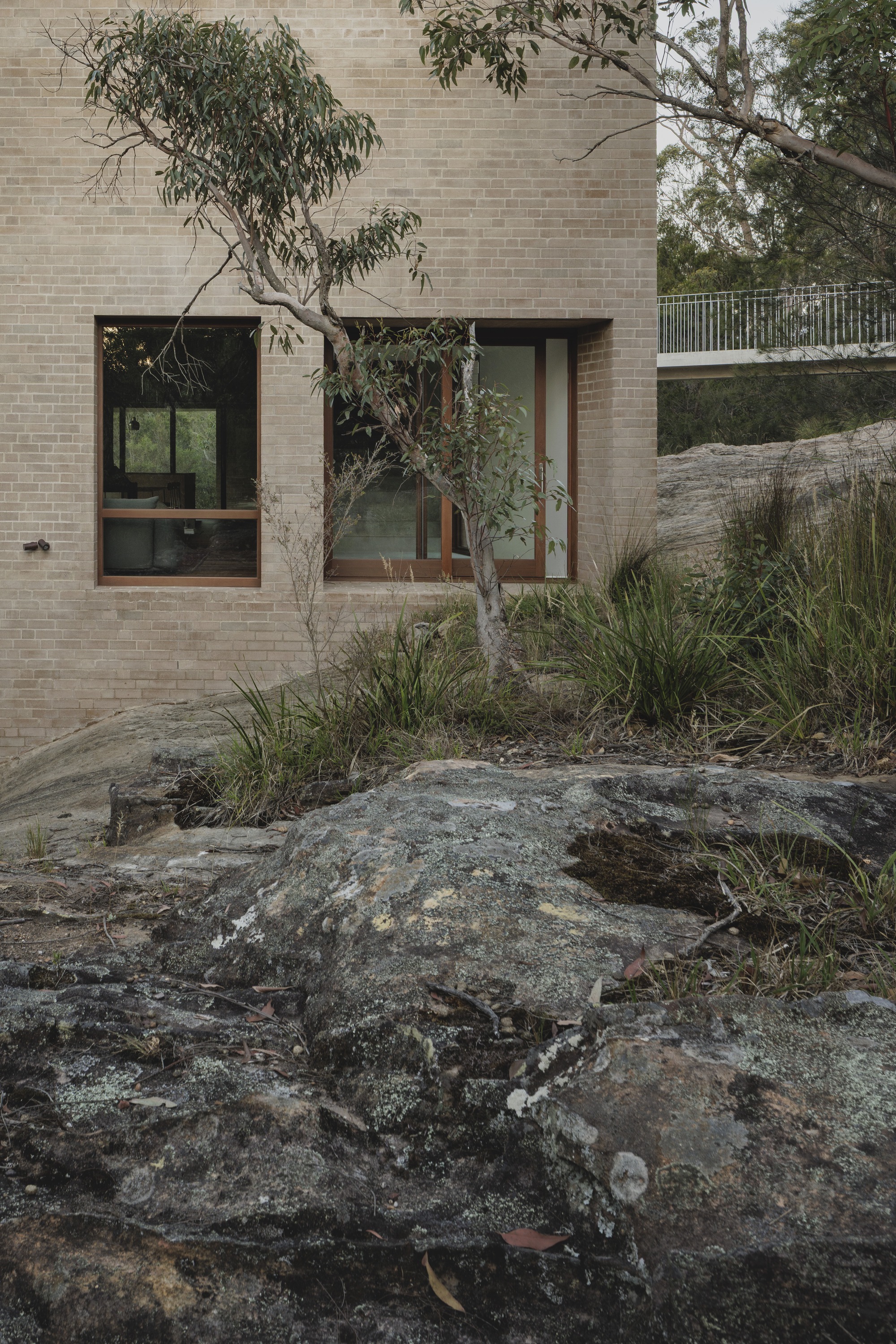 Brick wall with timber-framed windows behind a young gum tree and lichen-covered sandstone boulders, with a railed walkway beyond