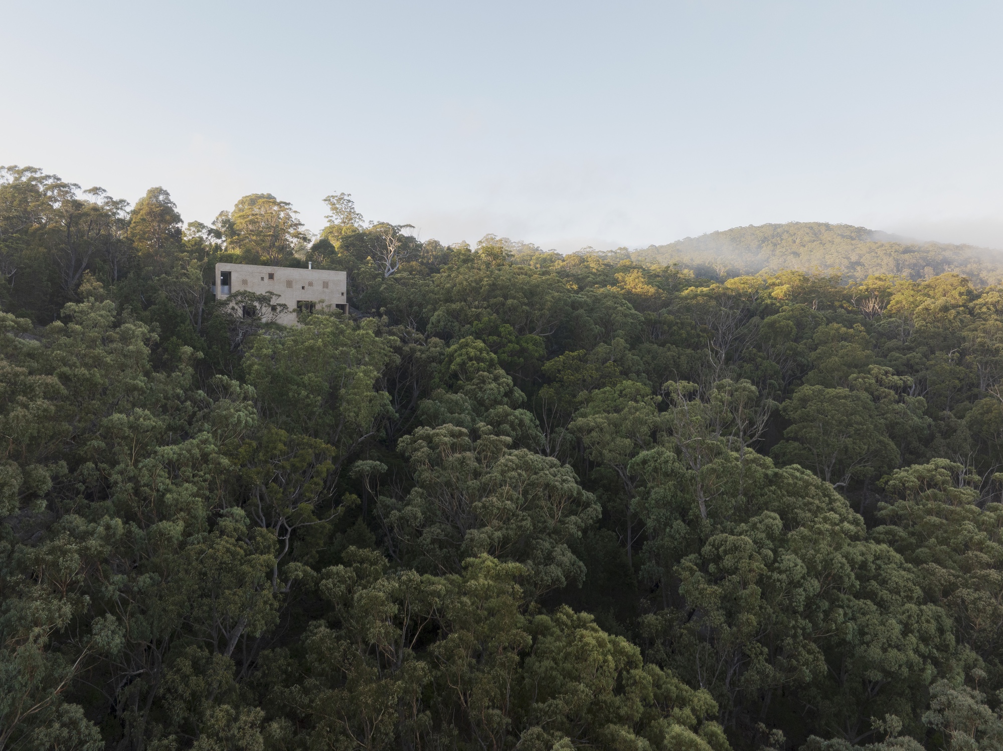 Aerial view of a pale concrete and brick house perched above a dense eucalyptus canopy, with mist over the distant ridge