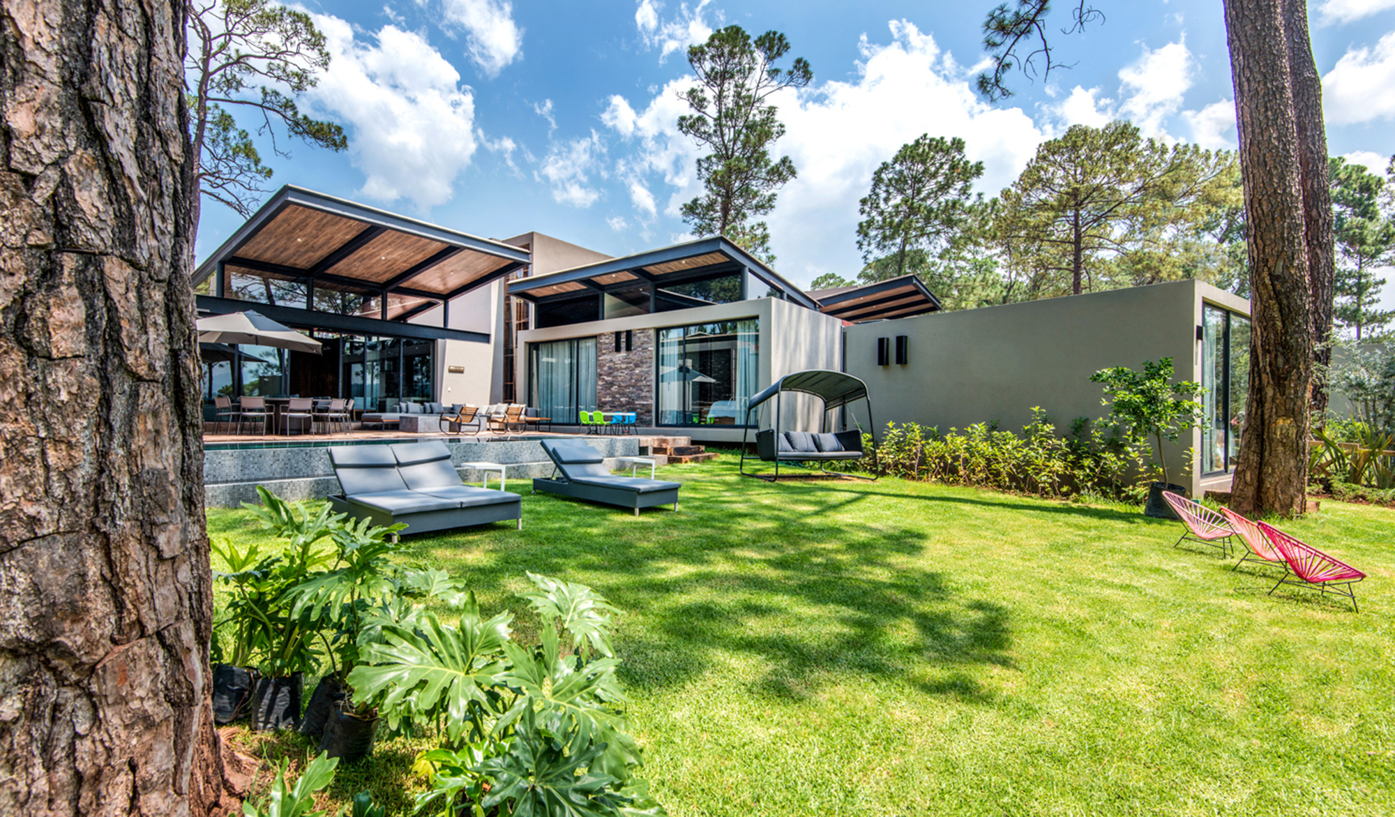 Rear facade with timber-lined canopies, stone wall and glazed lounge opening onto a lawn with loungers under pine shade