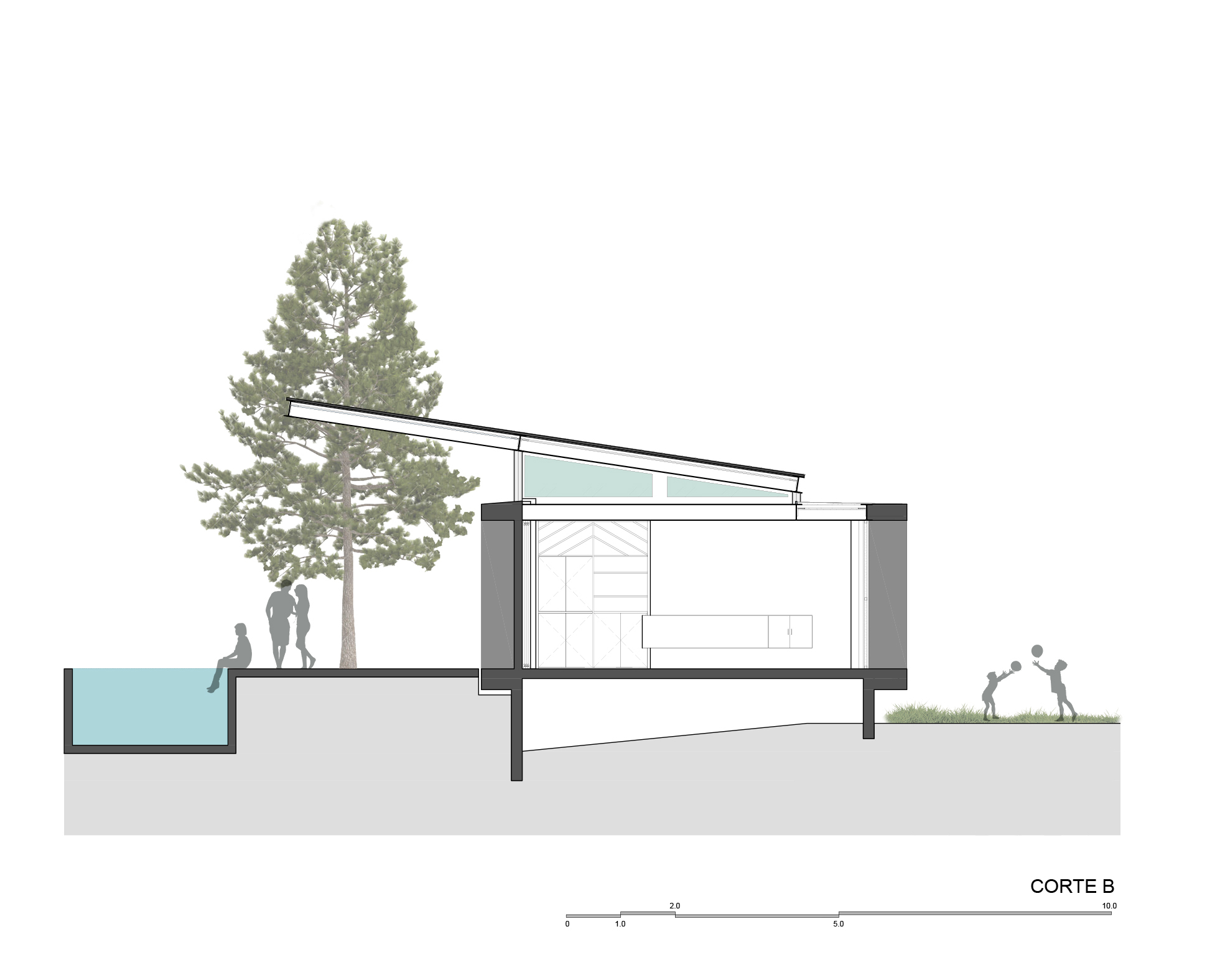 Cross section drawing of a single-story house with a sloped clerestory roof, kitchen island and a sunken pool beside a pine tree