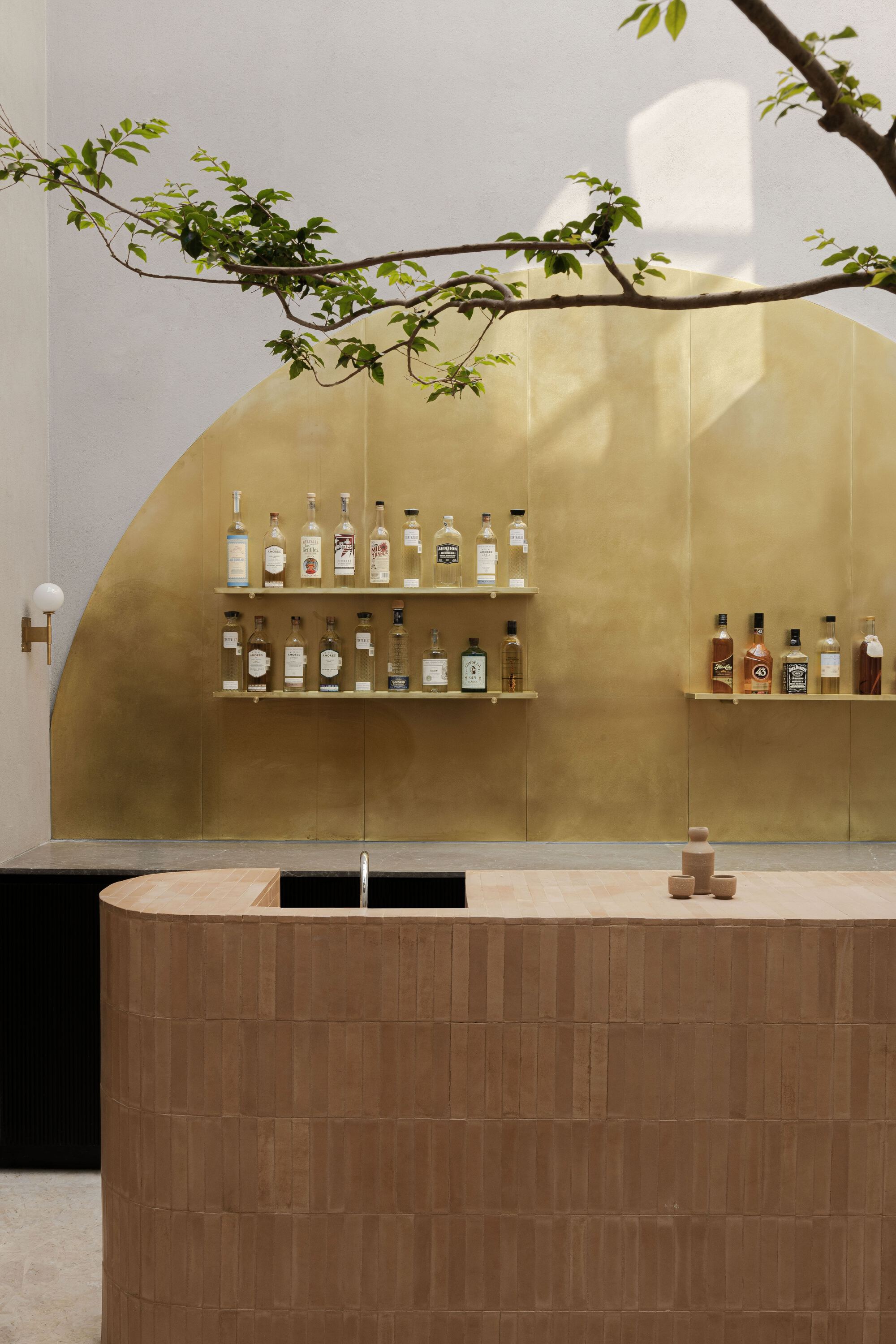 Close view of the curved tile bar front and brass wall with bottle shelves, a leafy branch overhead
