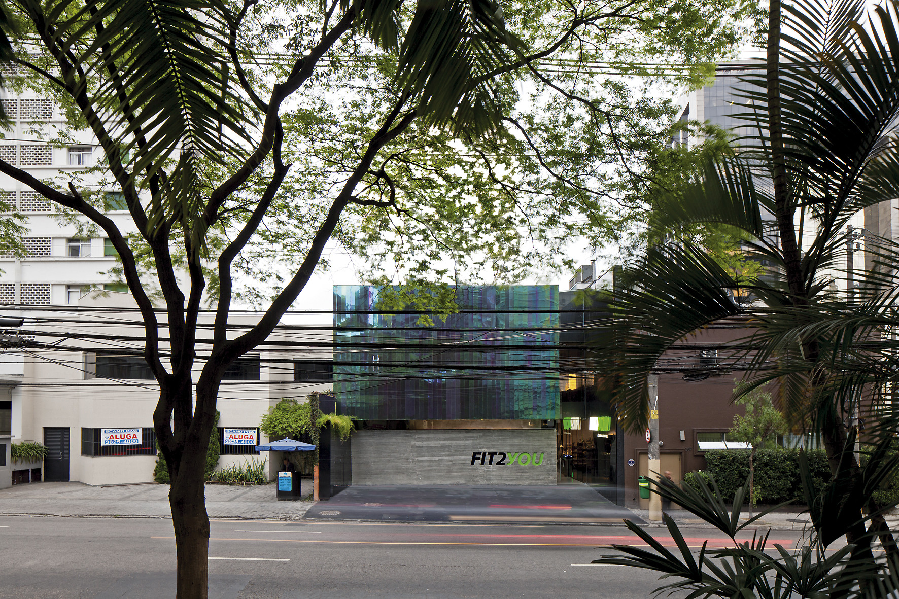 Street view of the shimmering glass facade and concrete base framed by tree branches and palm fronds in daylight