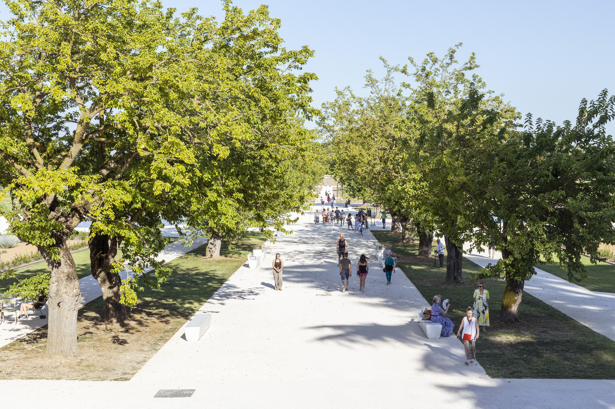 Wide white gravel promenade lined with mature trees and low stone benches, with visitors walking in dappled summer shade