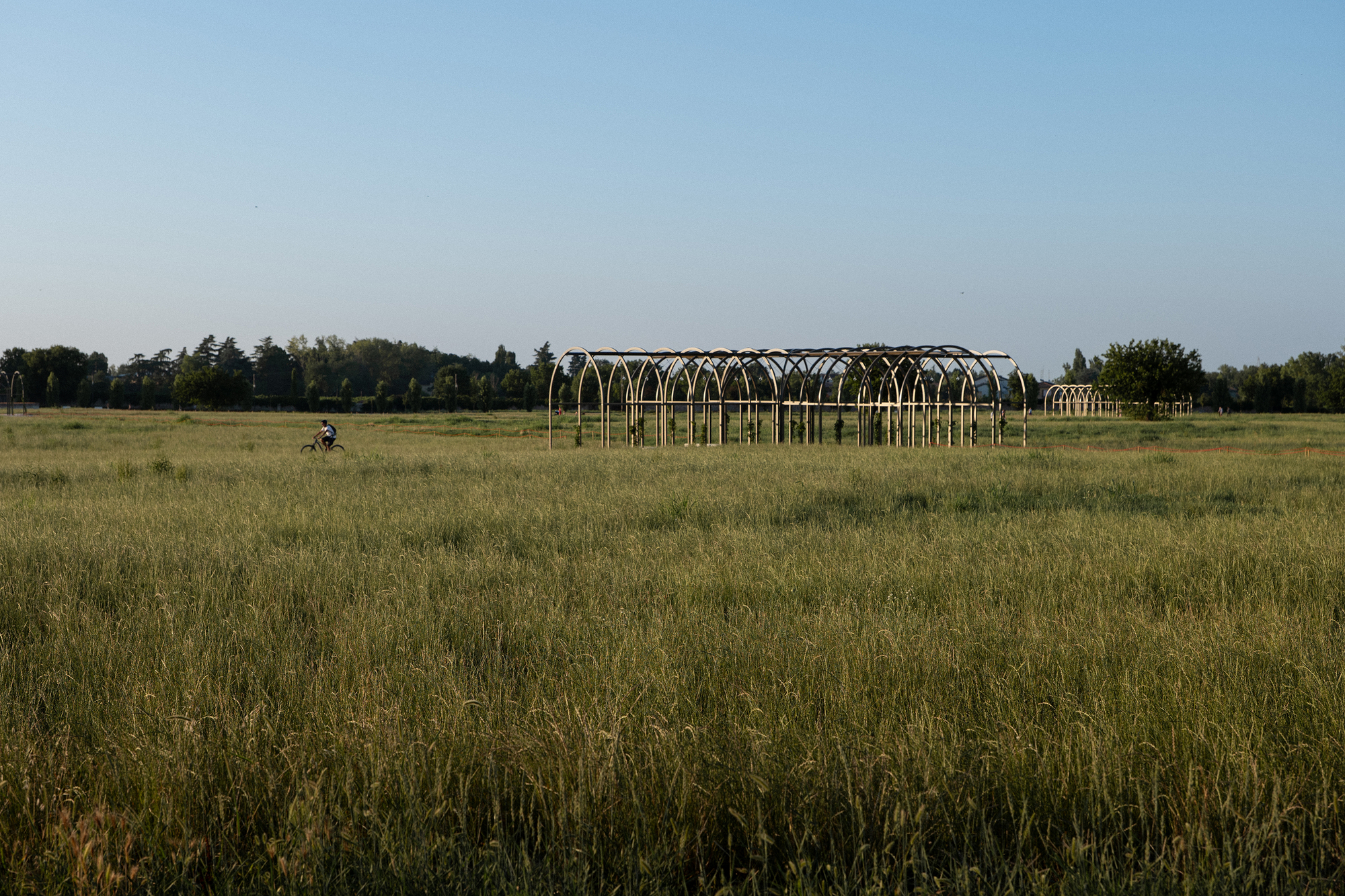 Arched steel pavilion frame standing in a meadow of tall grass, with a cyclist passing in the low evening light