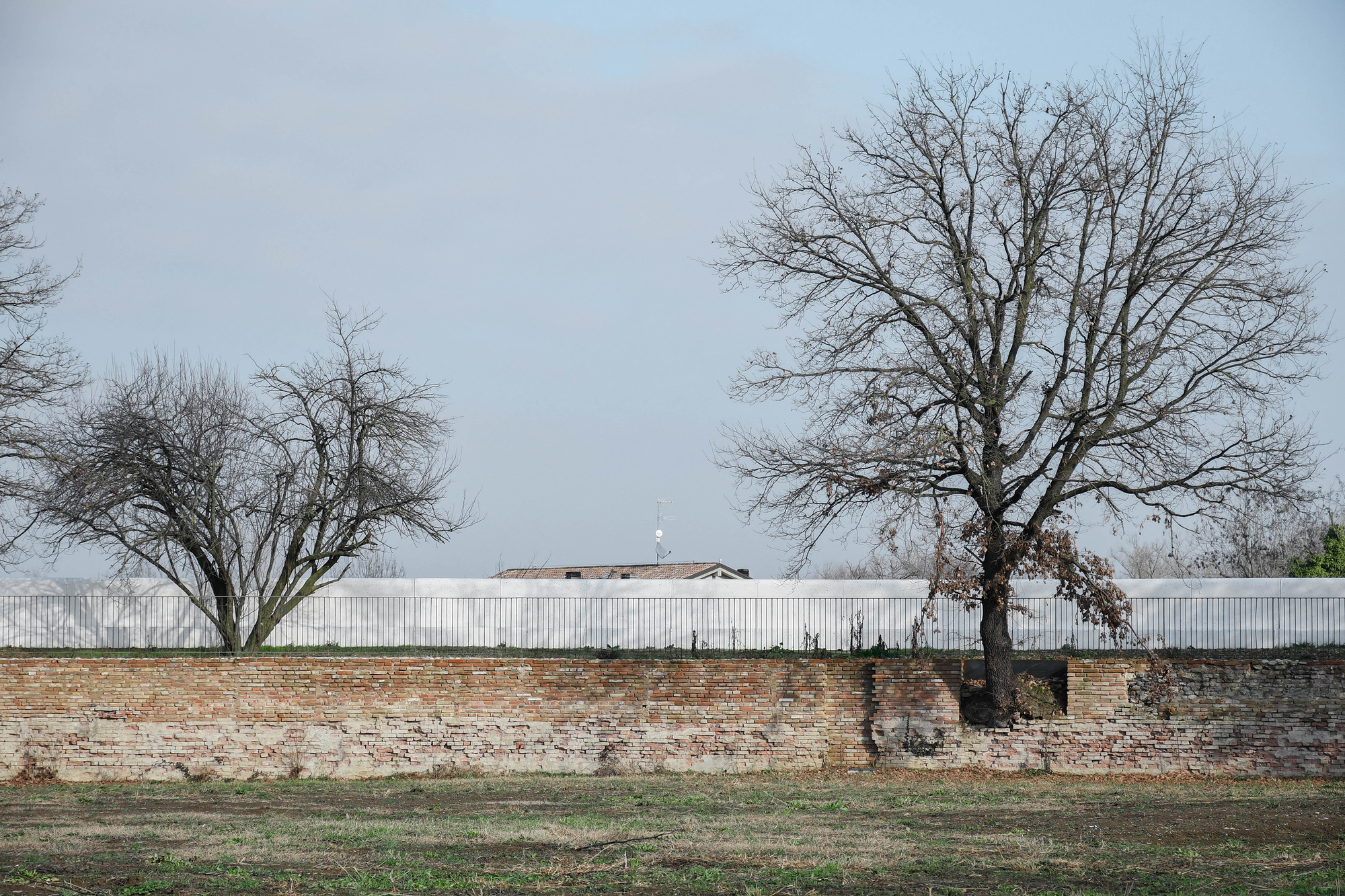 Weathered brick wall topped by a pale translucent fence, with bare trees against a hazy winter sky